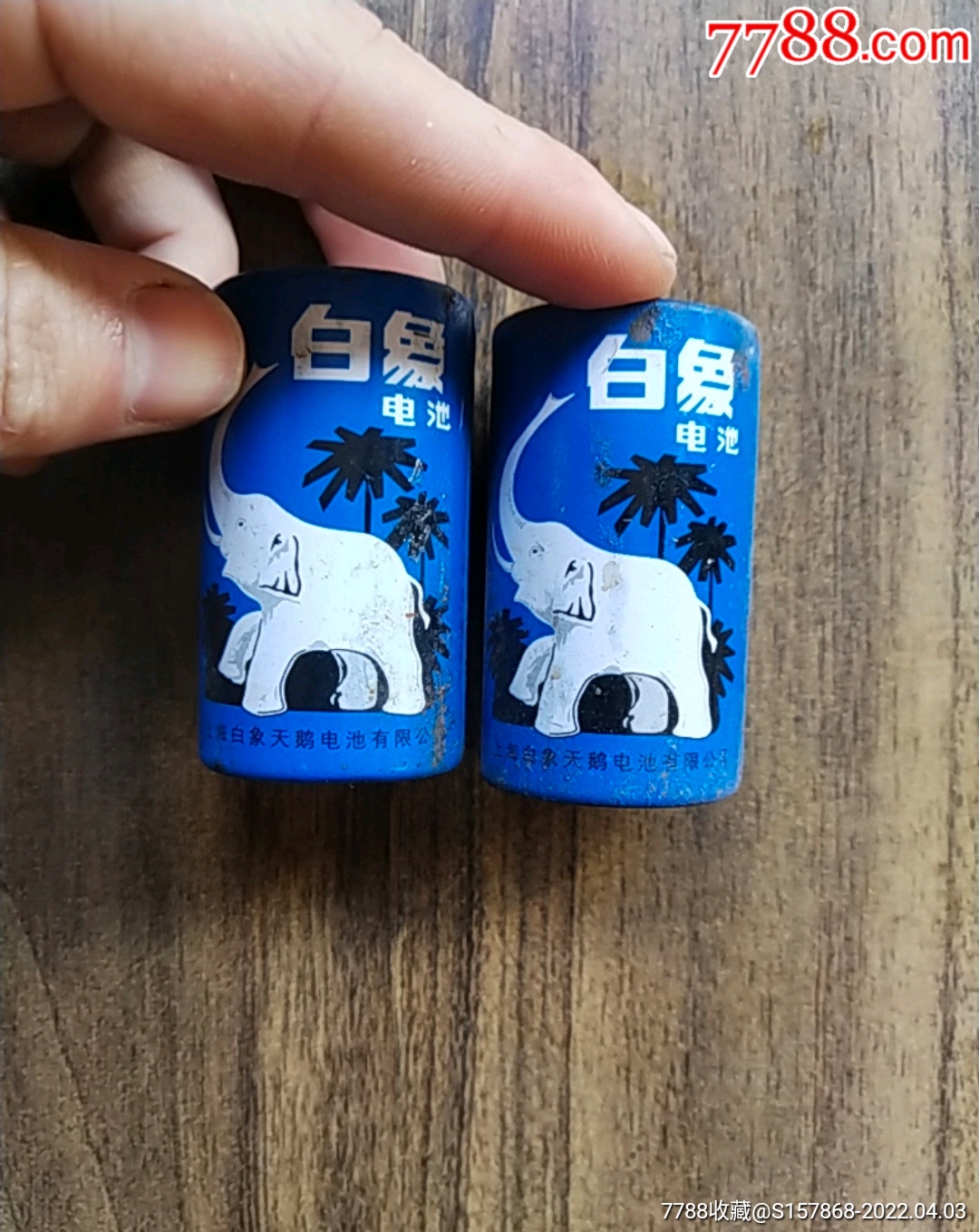 上海白象天鹅电池图片