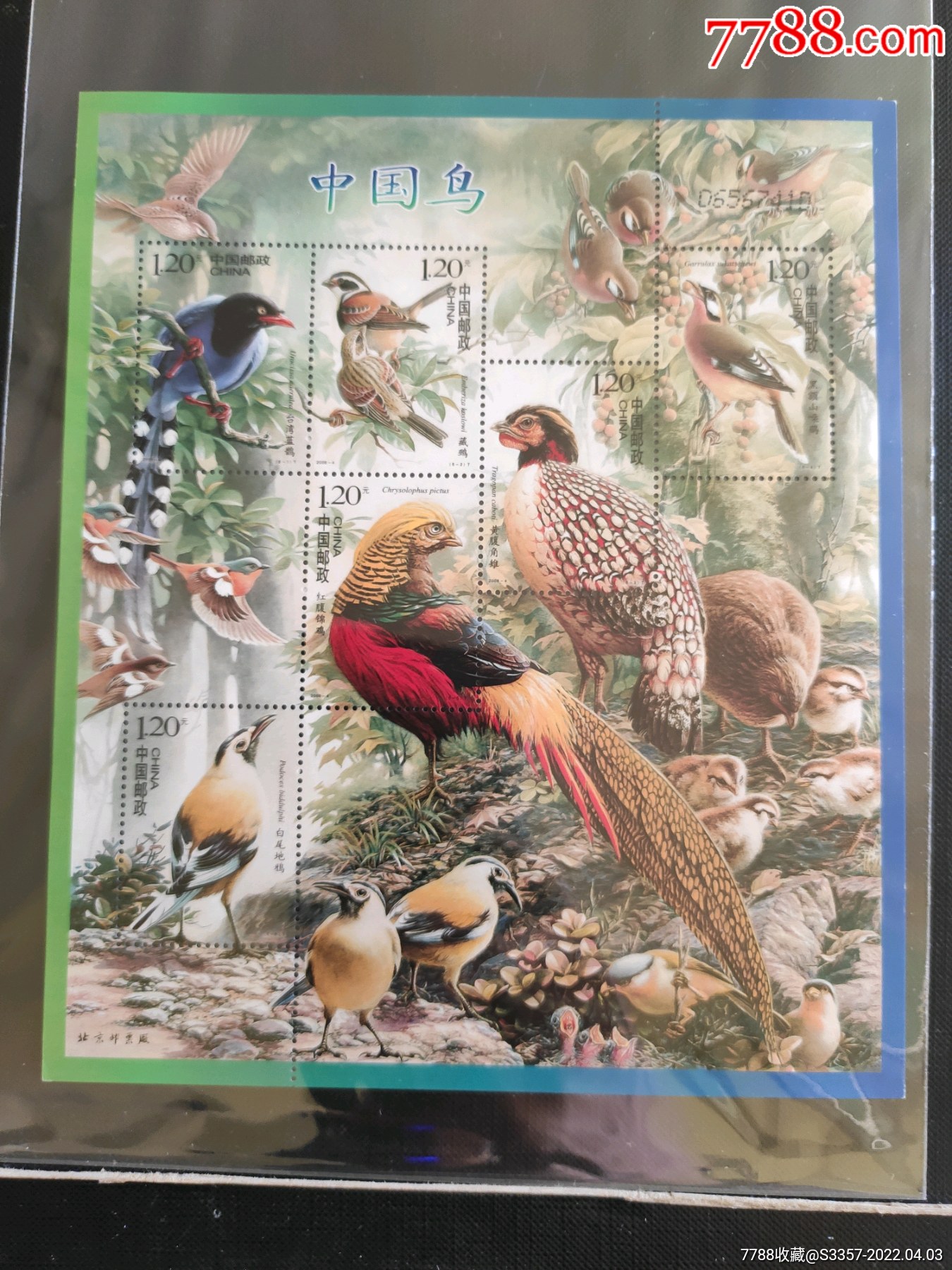 中国鸟(小全张)_新中国邮票_丁丁连环画古旧书店【7788收藏__收藏热线