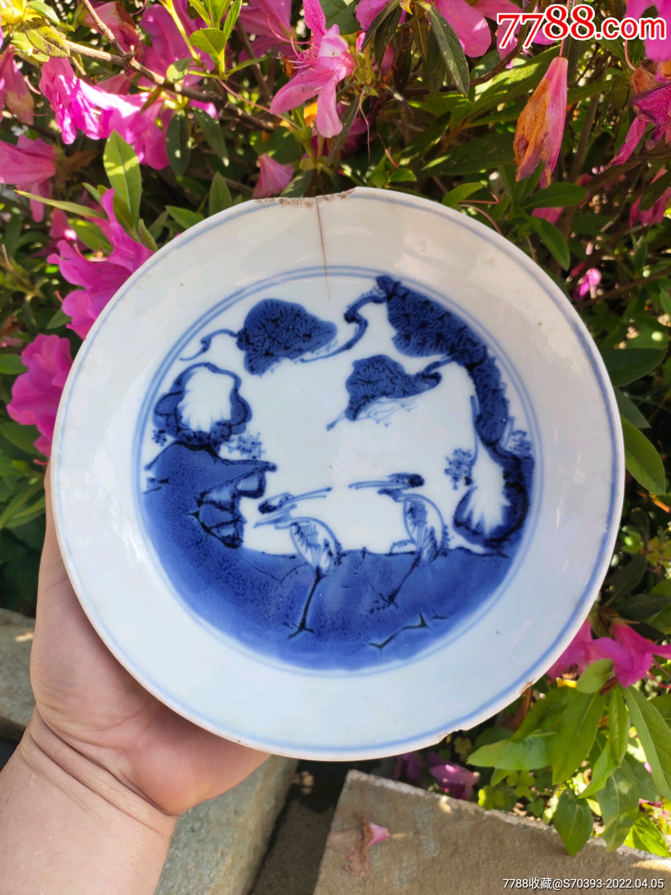清三代青花盘青花德化盘双鹤盘,标本价-价格:288元-se86352750-青花瓷