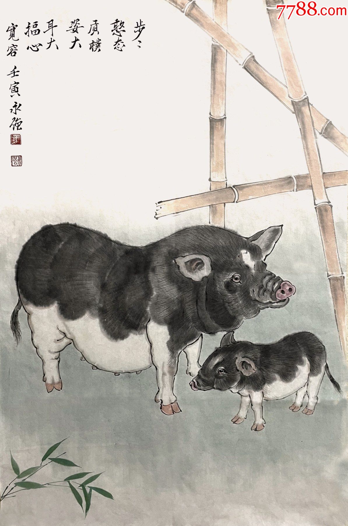 猪的工笔画精美图片图片