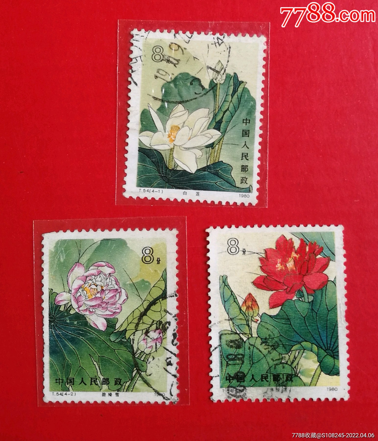 t5荷花_新中国邮票_收藏行情_回收价格_7788田村卡收藏