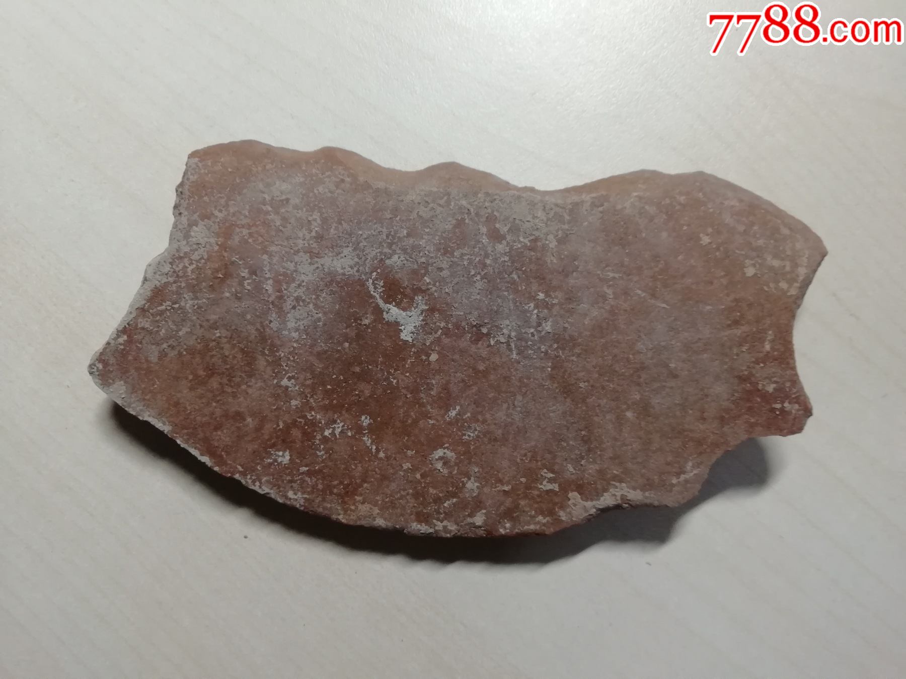 豫西仰韶文化时期石刀石镰残长85厘米宽45厘米