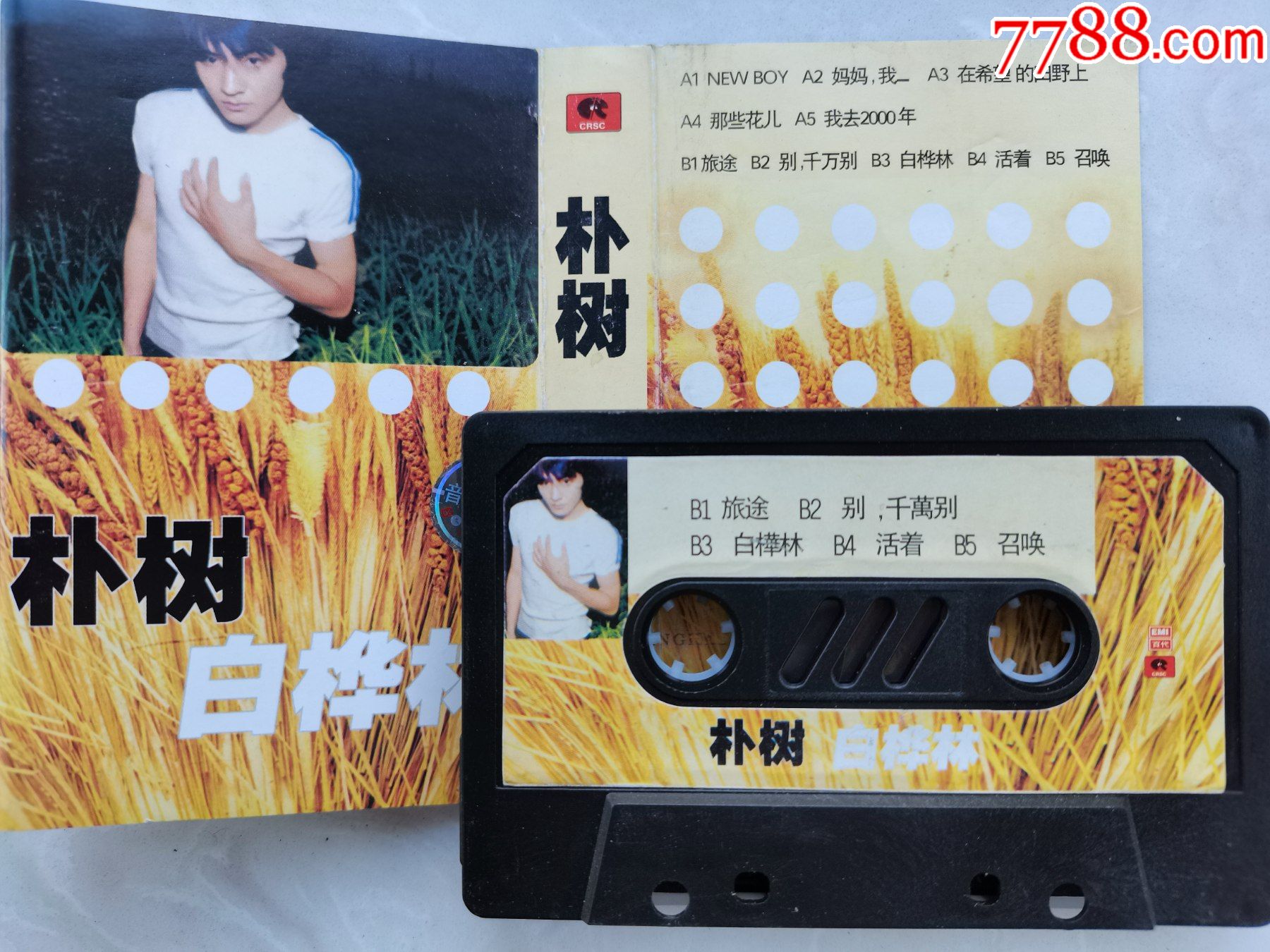 朴树独唱专辑《白桦林》_磁带/卡带_时日如歌【7788收藏__收藏热线】