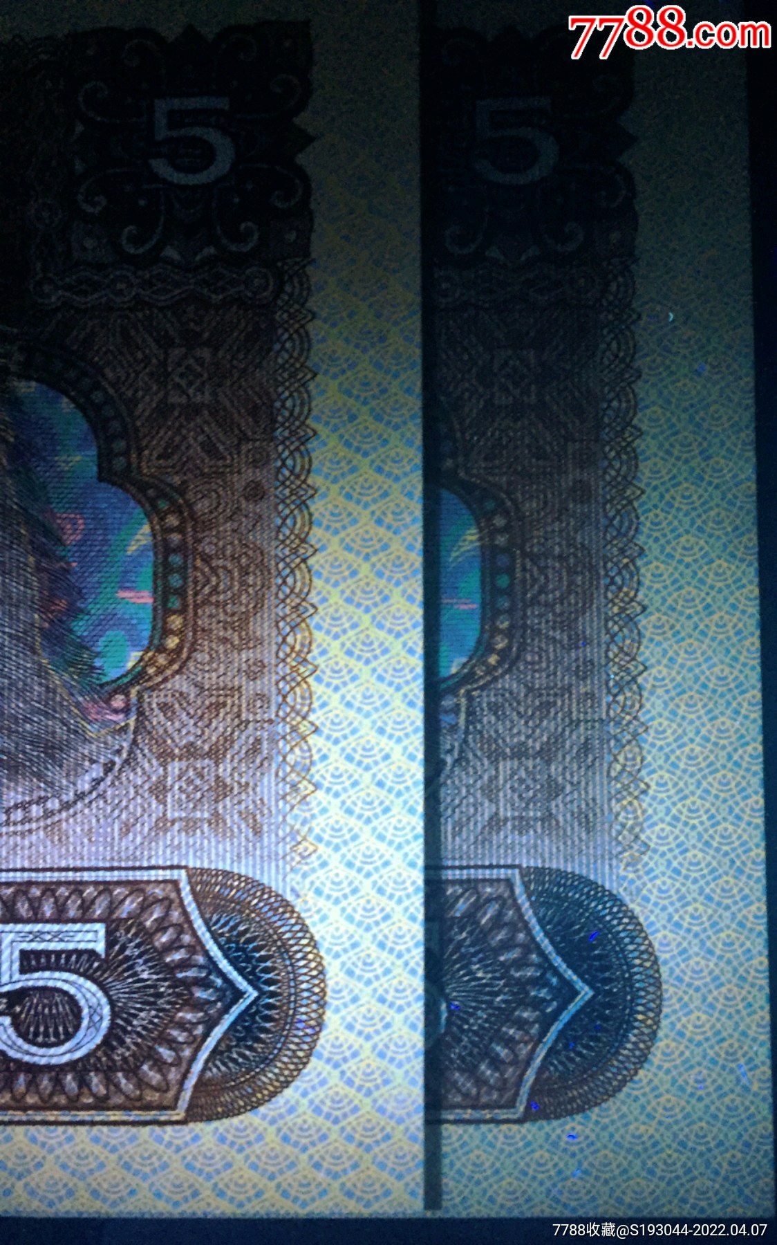 805rc金网金箔五彩苍松