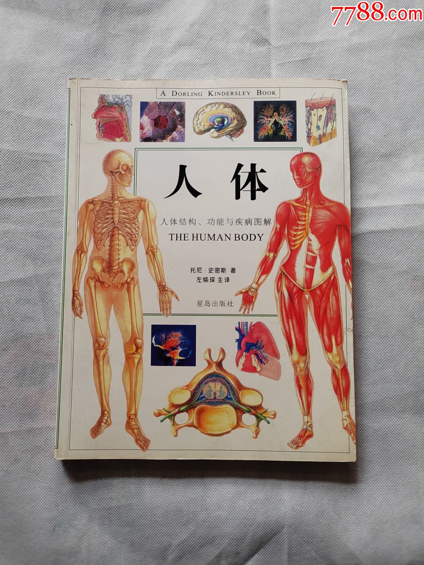 人体---人体结构功能与疾病图解----托尼.