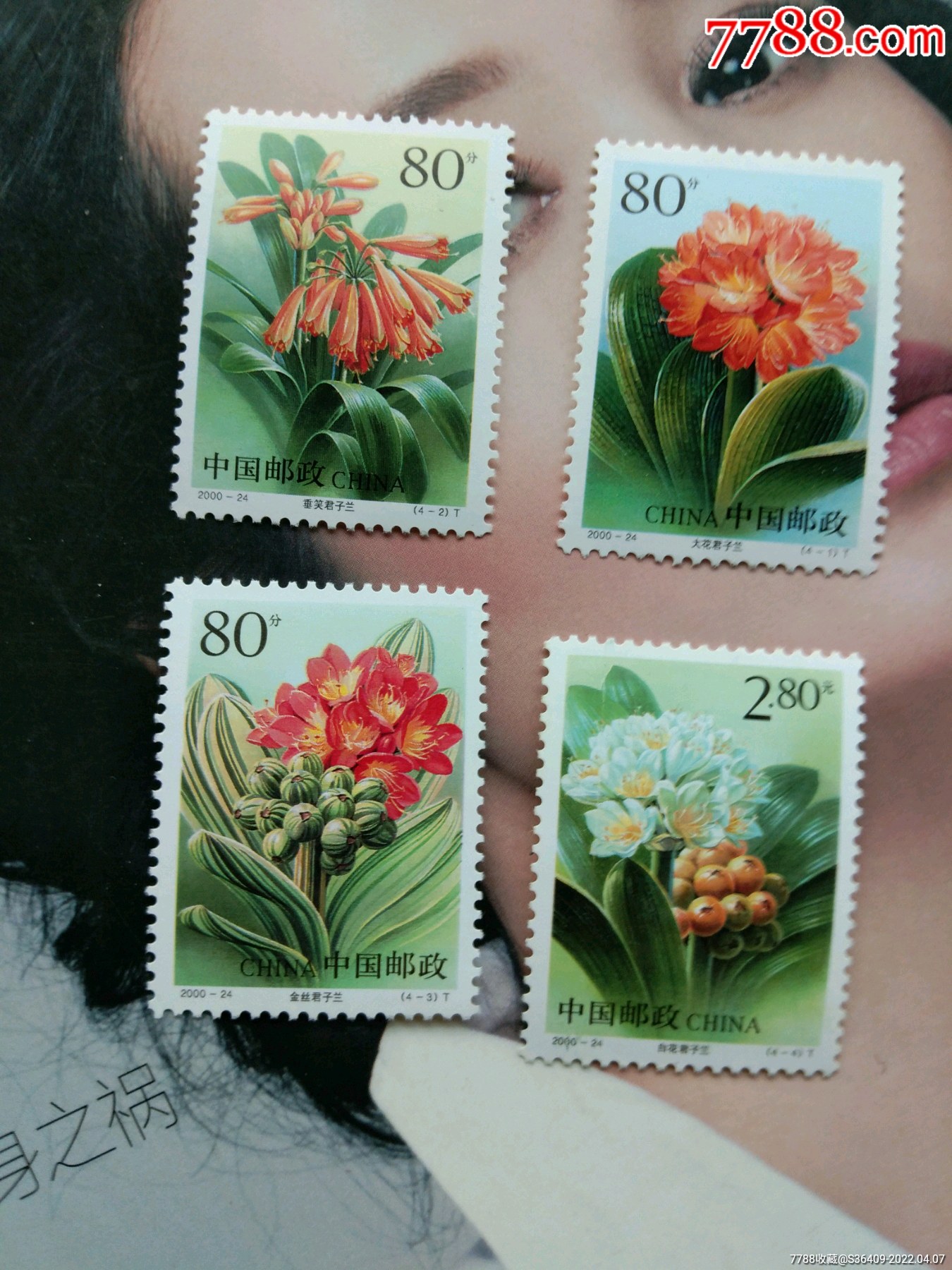 2000-24君子兰,_新中国邮票_第1张_7788奇石收藏