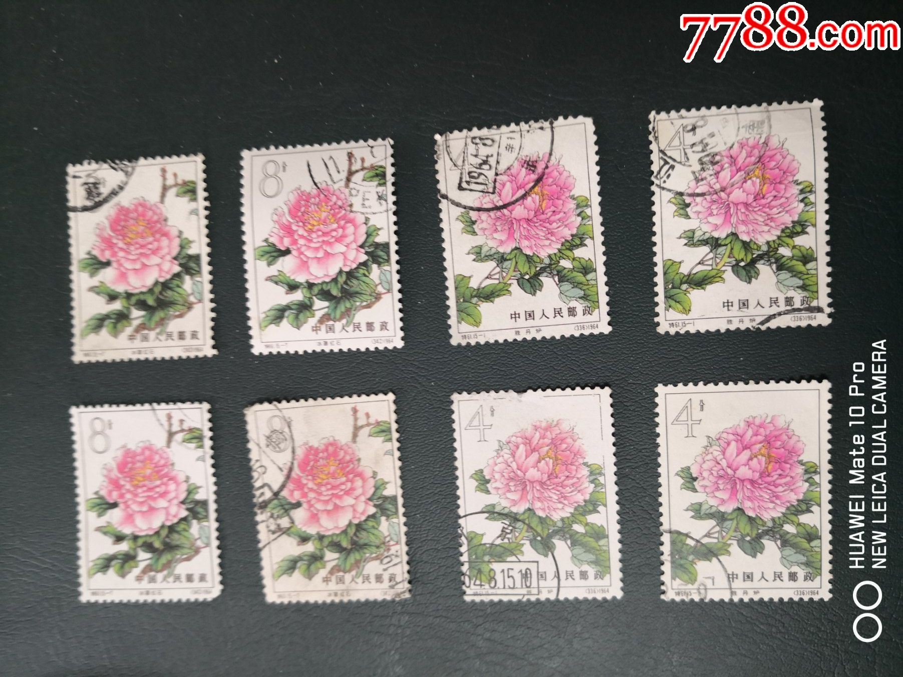 特61牡丹一贴-价格:58元-se86404956-新中国邮票-零售-7788收藏__收藏