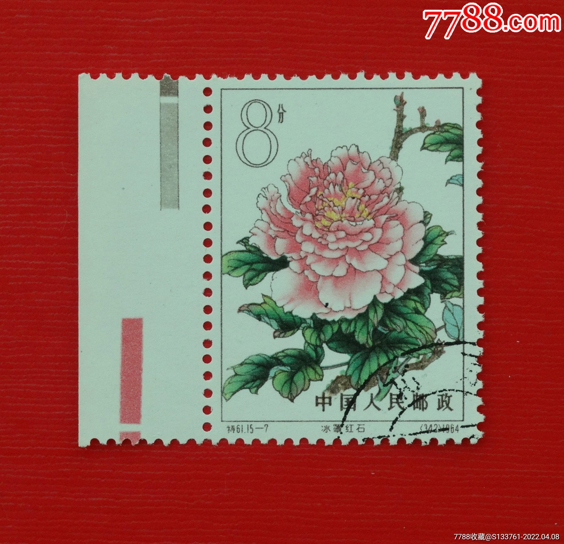特61牡丹邮票筋票图片