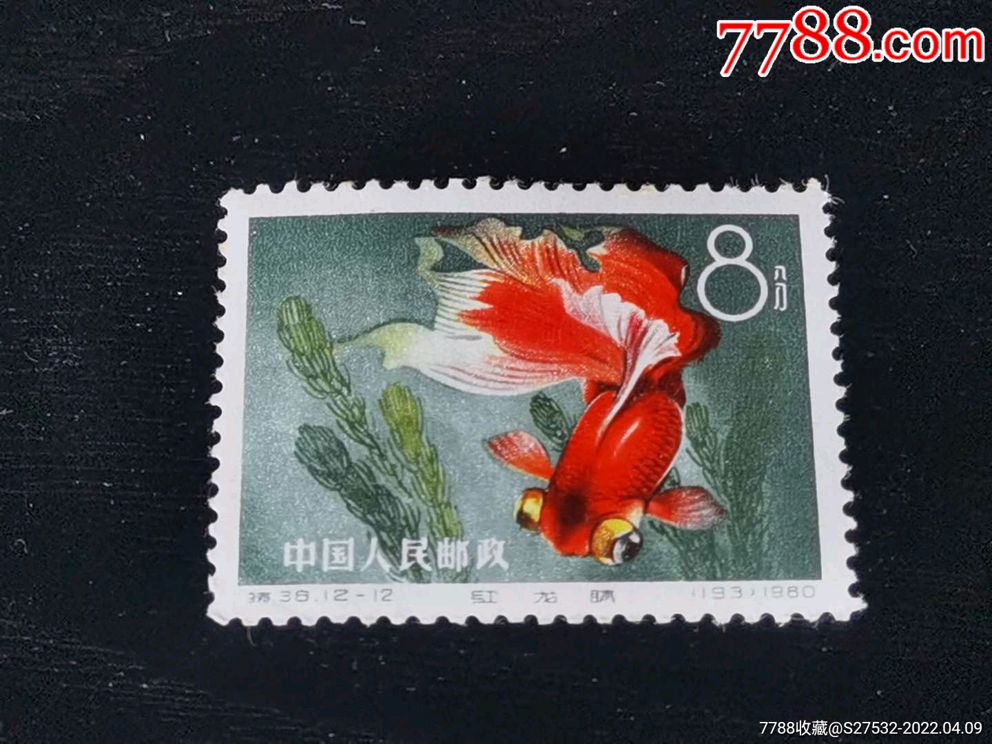 特38金鱼8分新票原胶-价格:150元-se86423531-新中国邮票-零售-7788