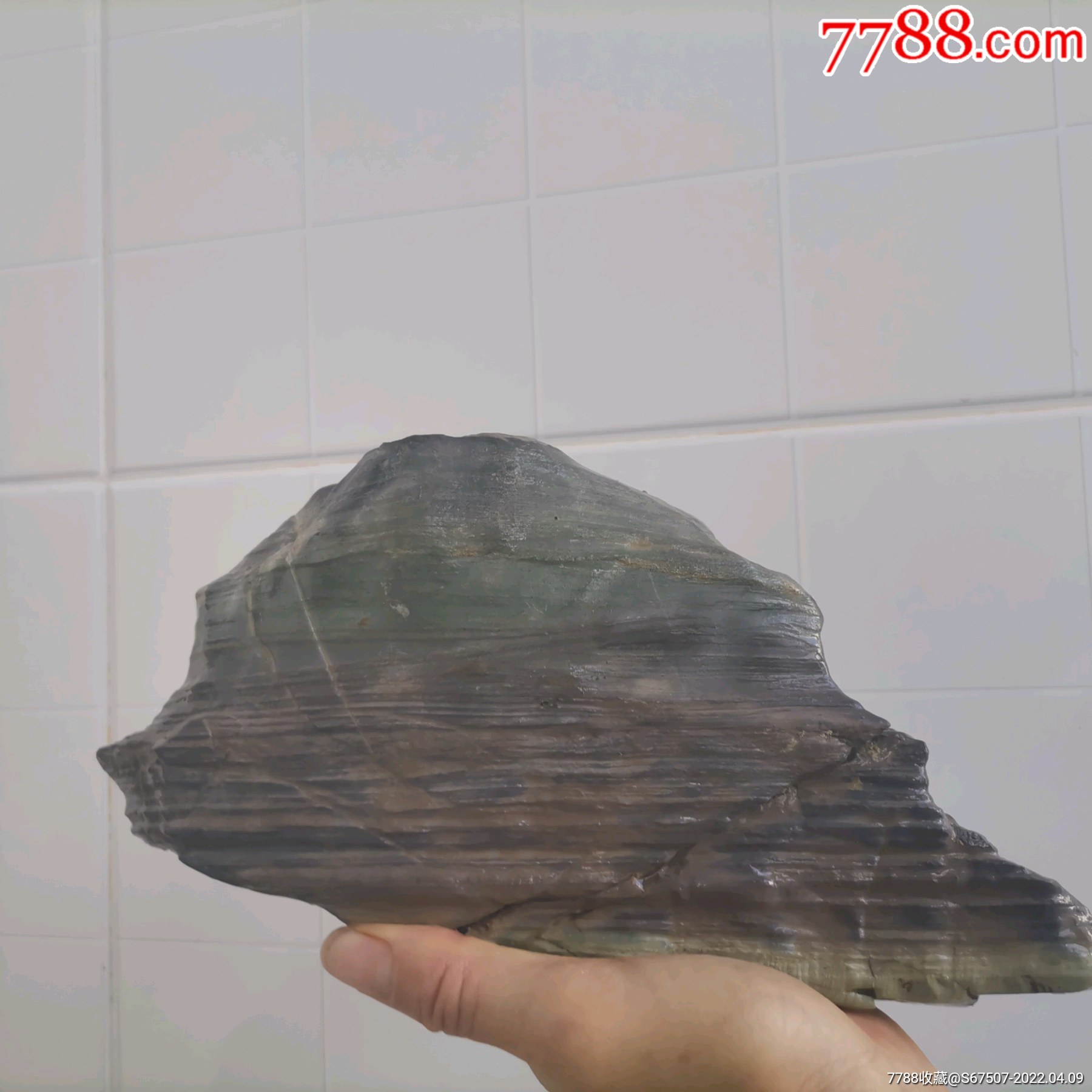 紫绿相伴松花石山子原石水头好型好