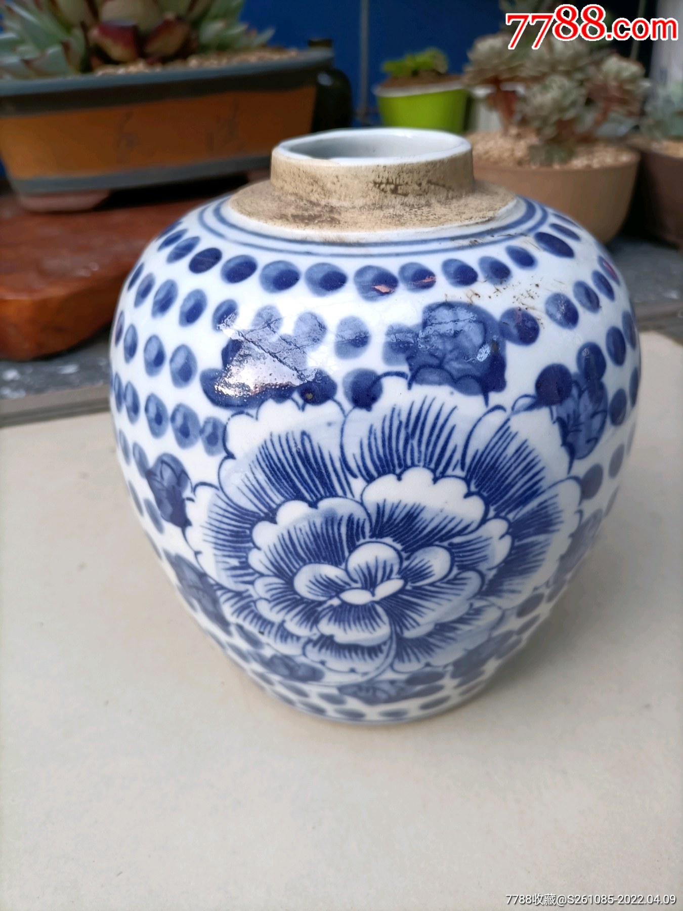 牡丹青花罐全品