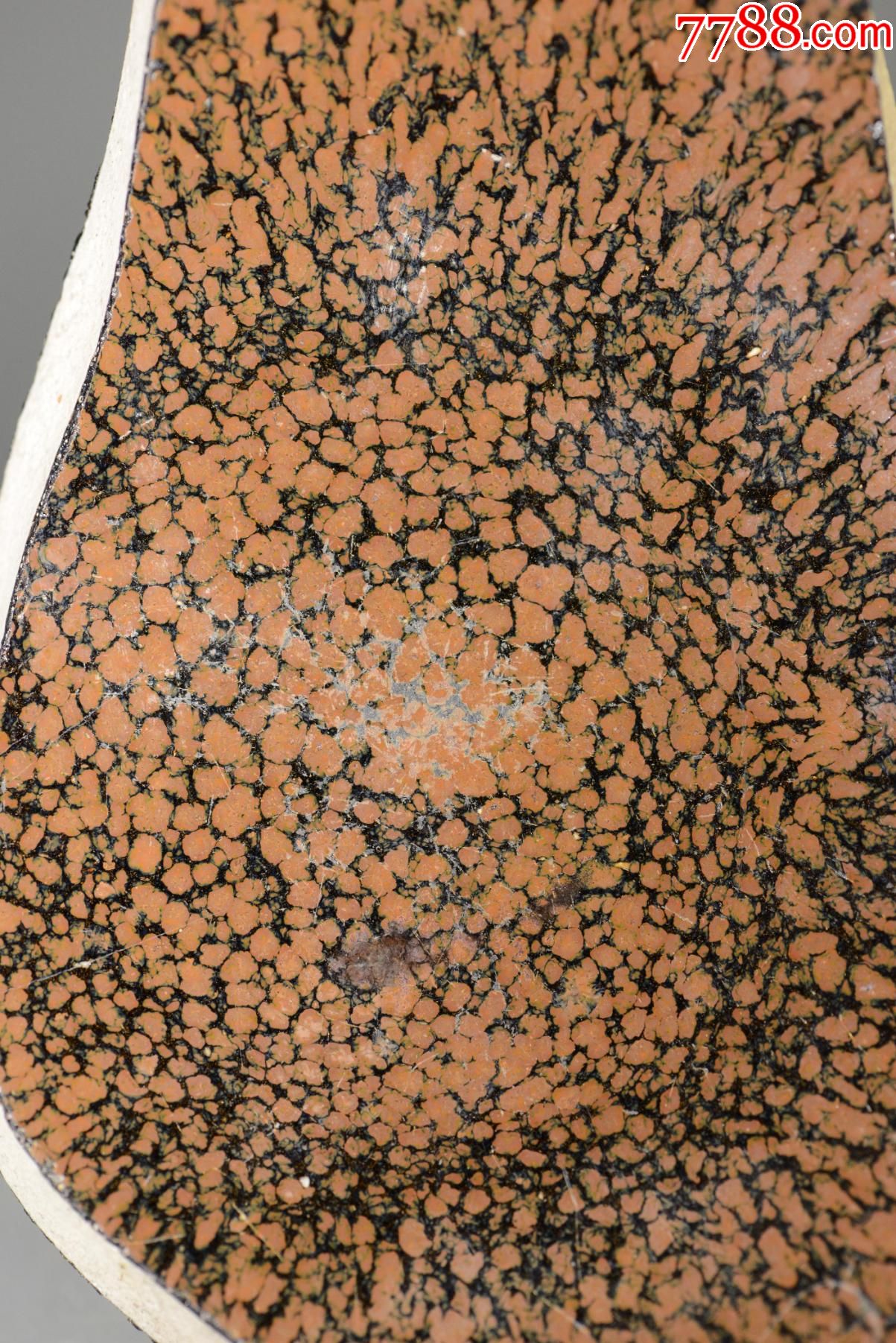 宋金黑釉铁锈花磁州窑标本博物馆科研教学专用考古发掘1278厘米