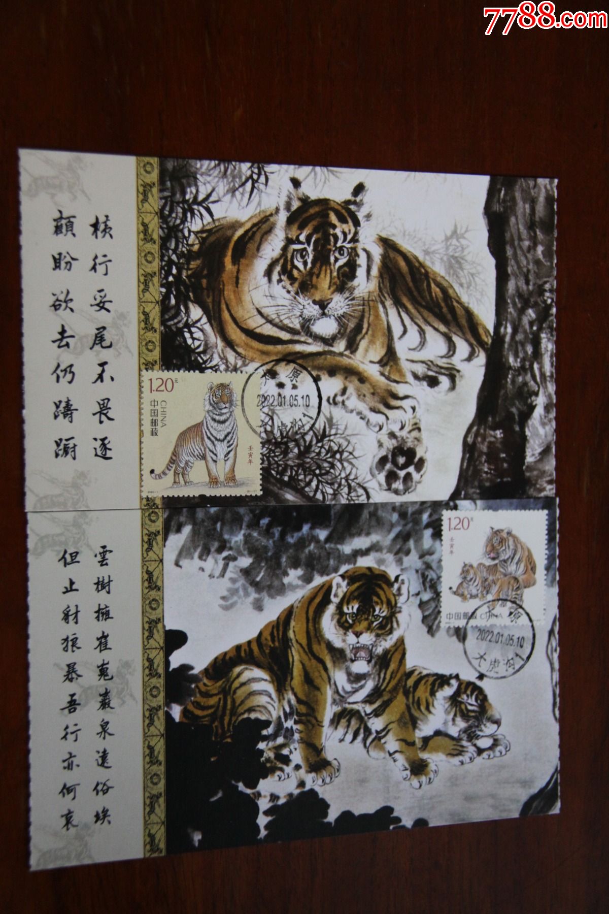 虎年手绘明信片图片