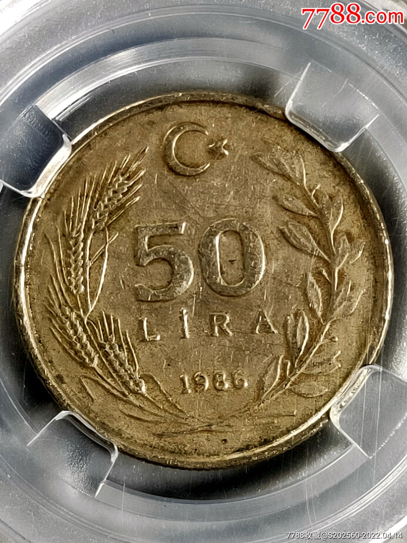 土耳其50里拉13010