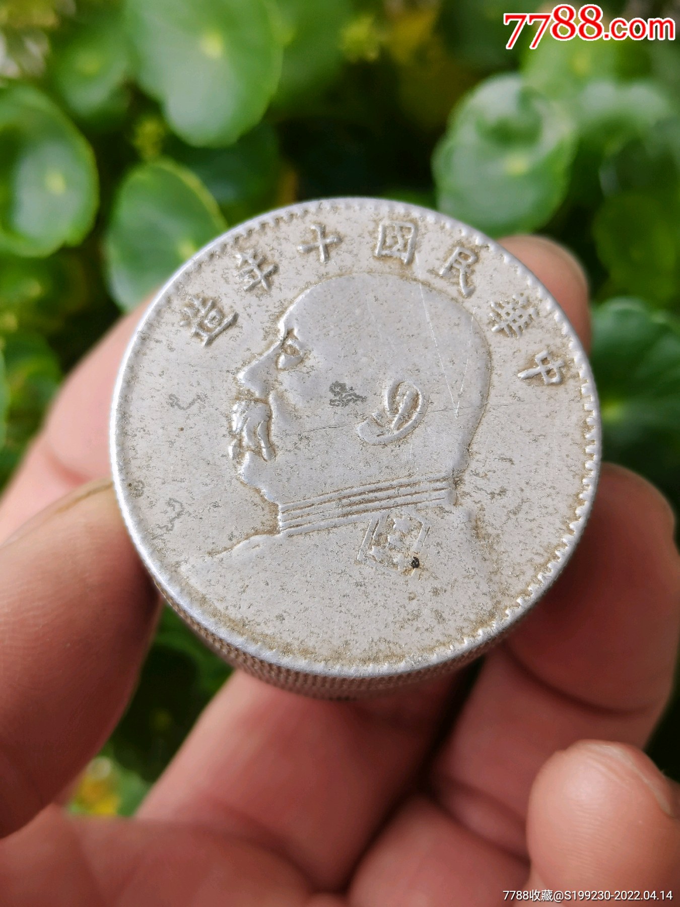 银元造型的小盒子袁大头造型老盒子