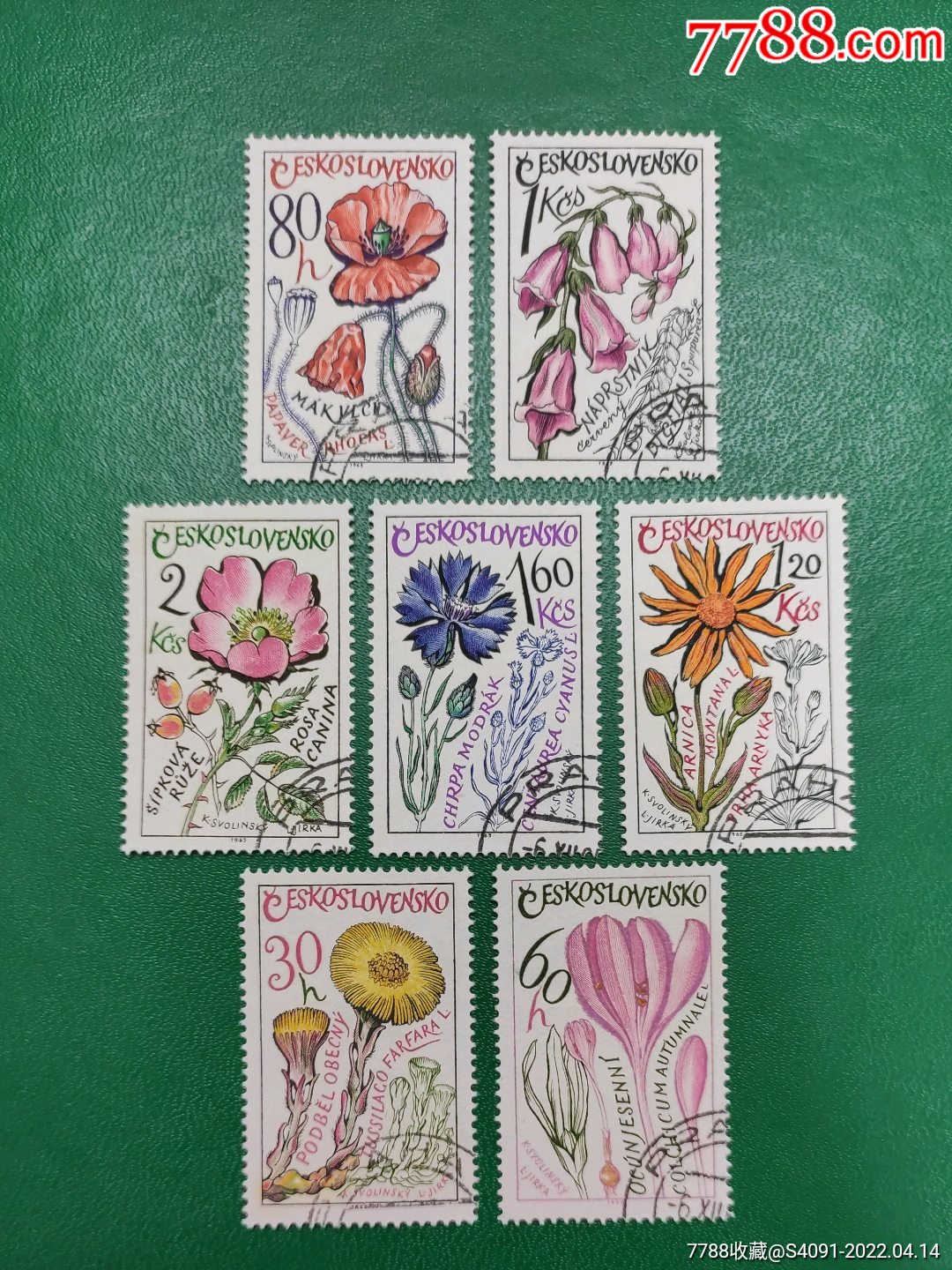 捷克斯洛伐克1965年花卉植物7全销_欧洲邮票_图片鉴赏_收藏价格_7788