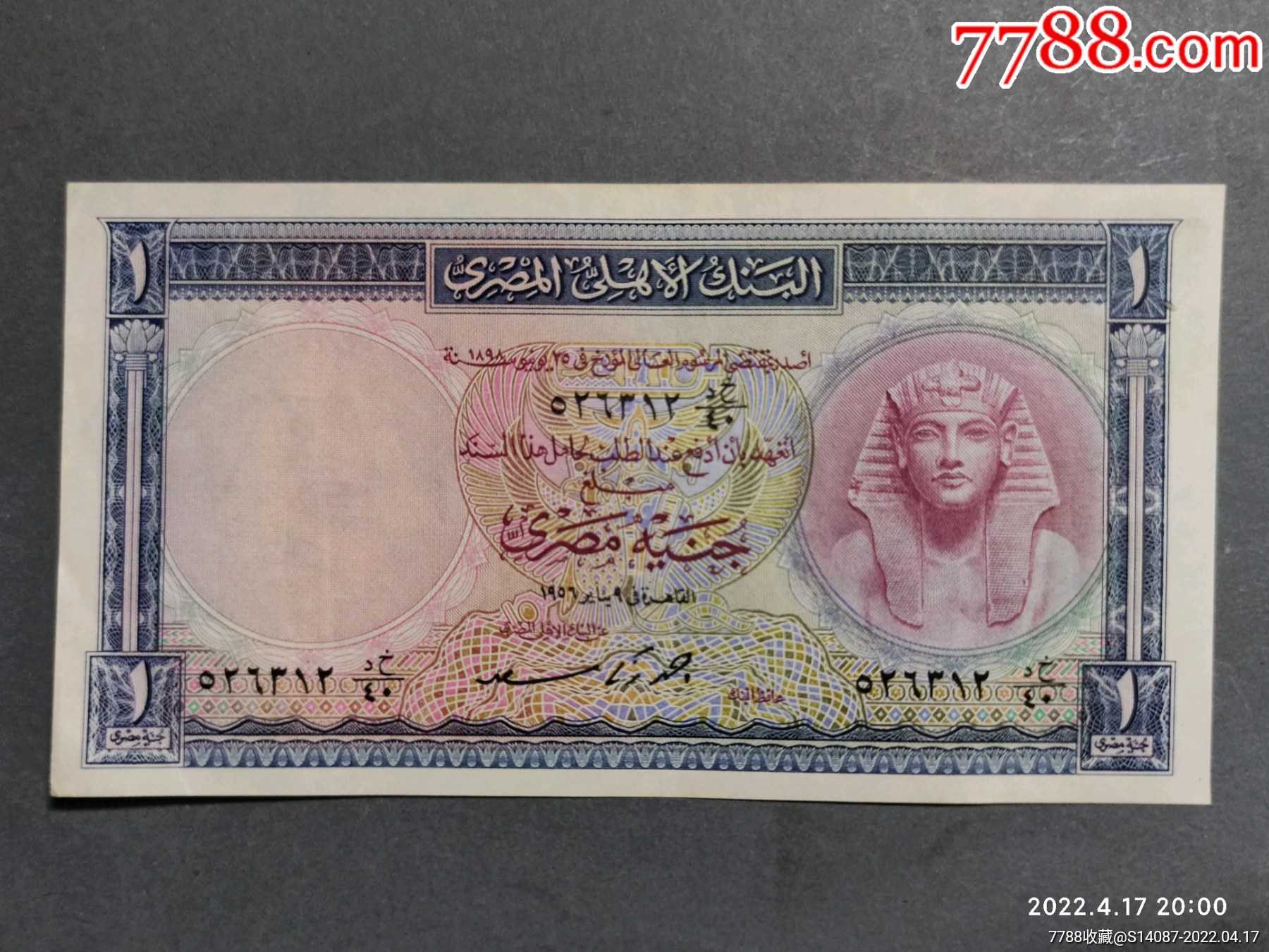 外币埃及纸币