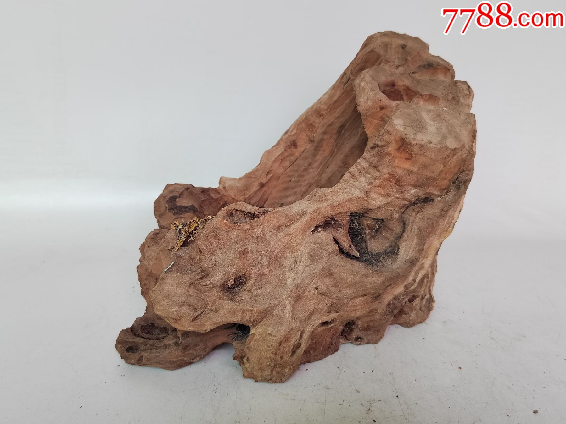 木头风化木_其他木艺品_重新又开始【7788收藏__收藏热线】