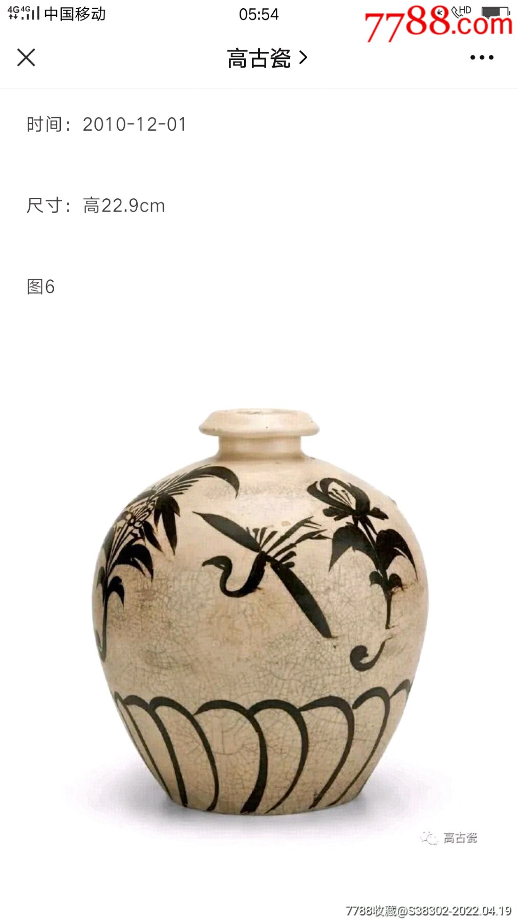 宋代磁州窑大瓶橄榄瓶四系瓶梅瓶临清运河古玩店古陶瓷标本馆