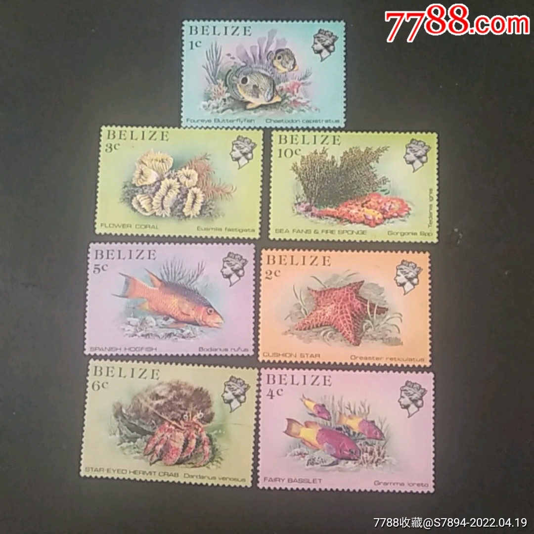 伯利兹1984年海洋鱼7枚-价格:8元-se86610120-其他外国邮票-零售-7788