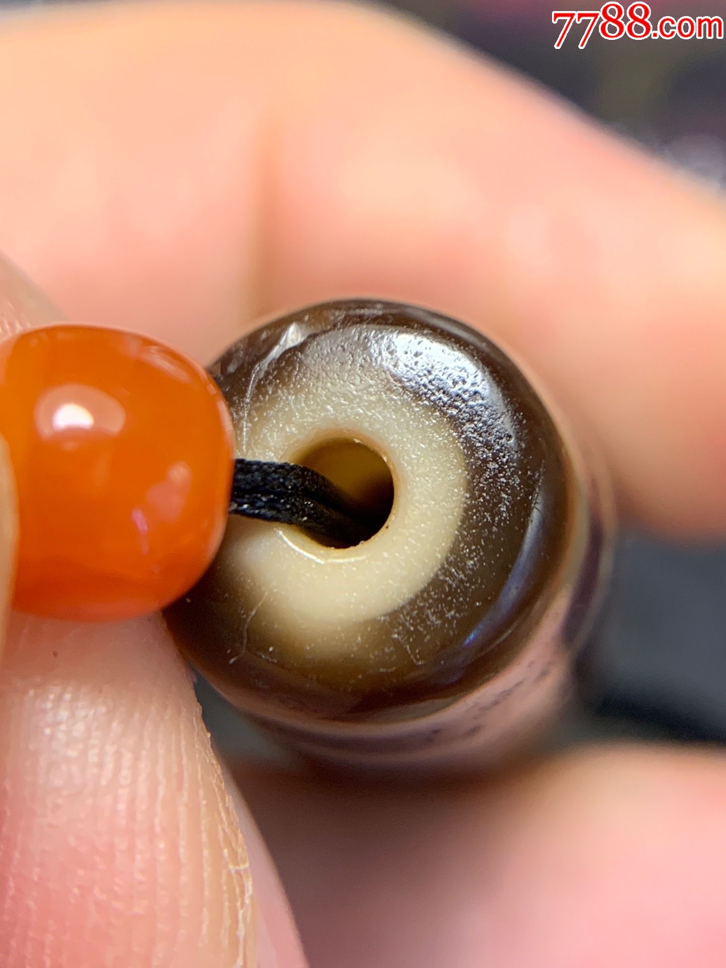 九眼天珠珠中之王功德显赫