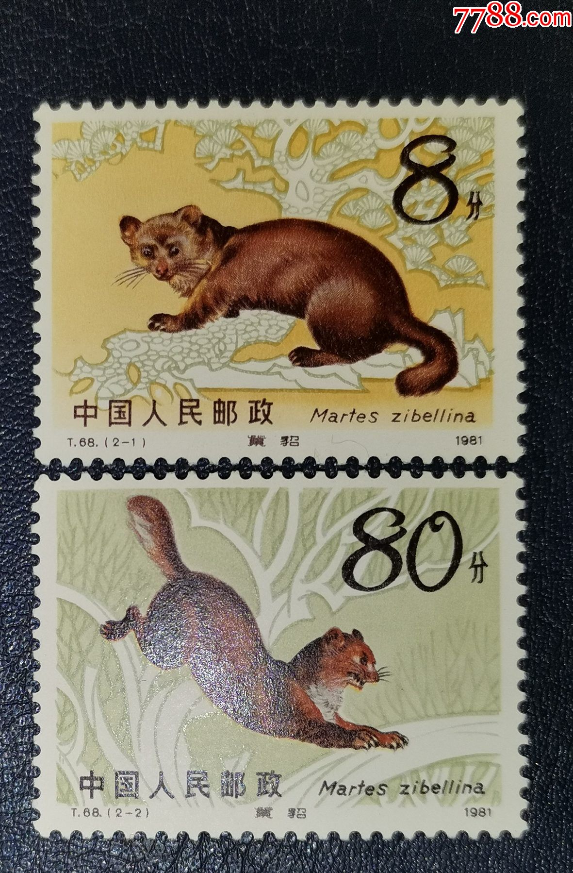 t68紫貂-新中国邮票-7788邮票收藏