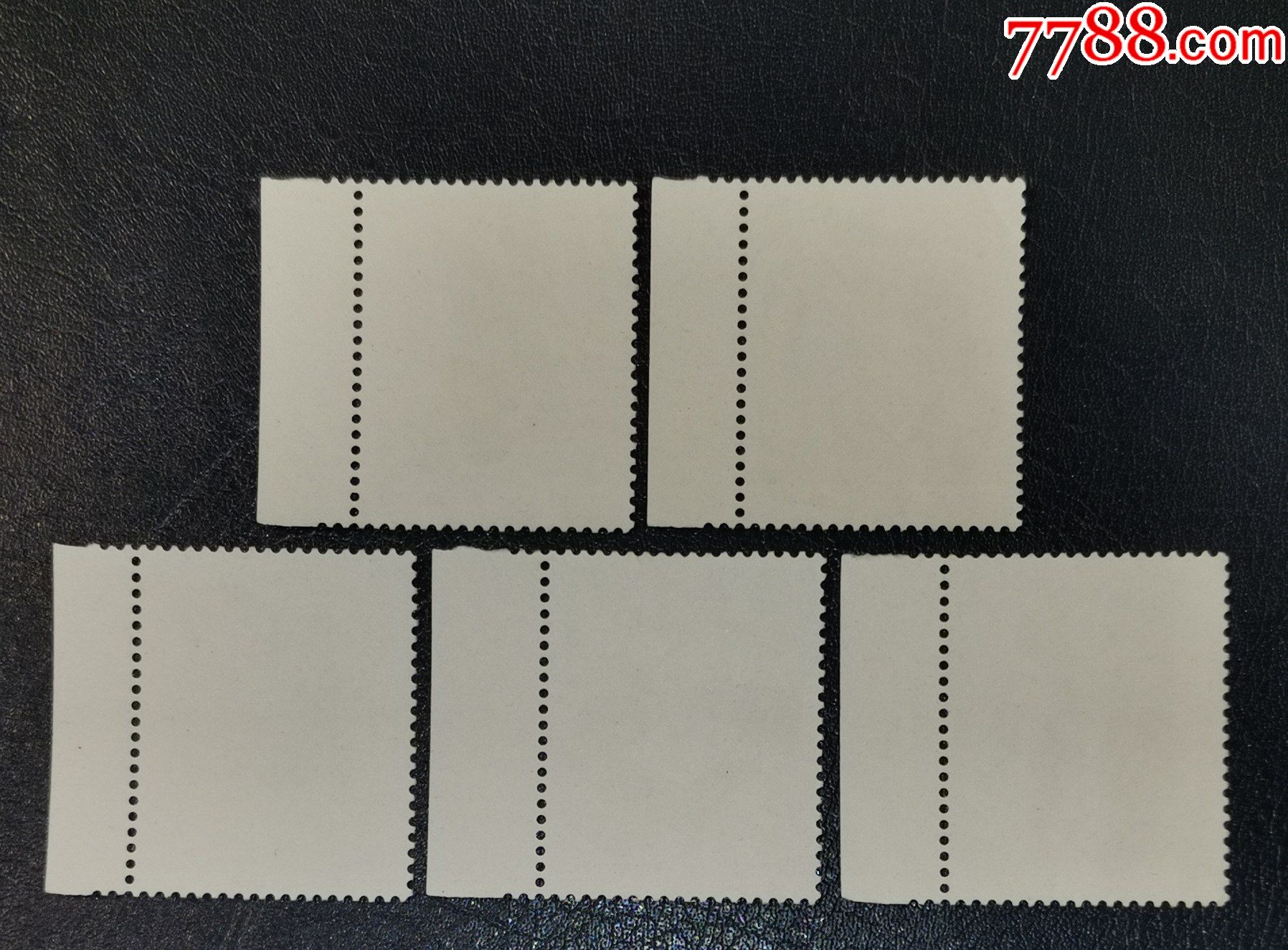 t14新中国儿童,带边_新中国邮票_第2张_7788集邮网