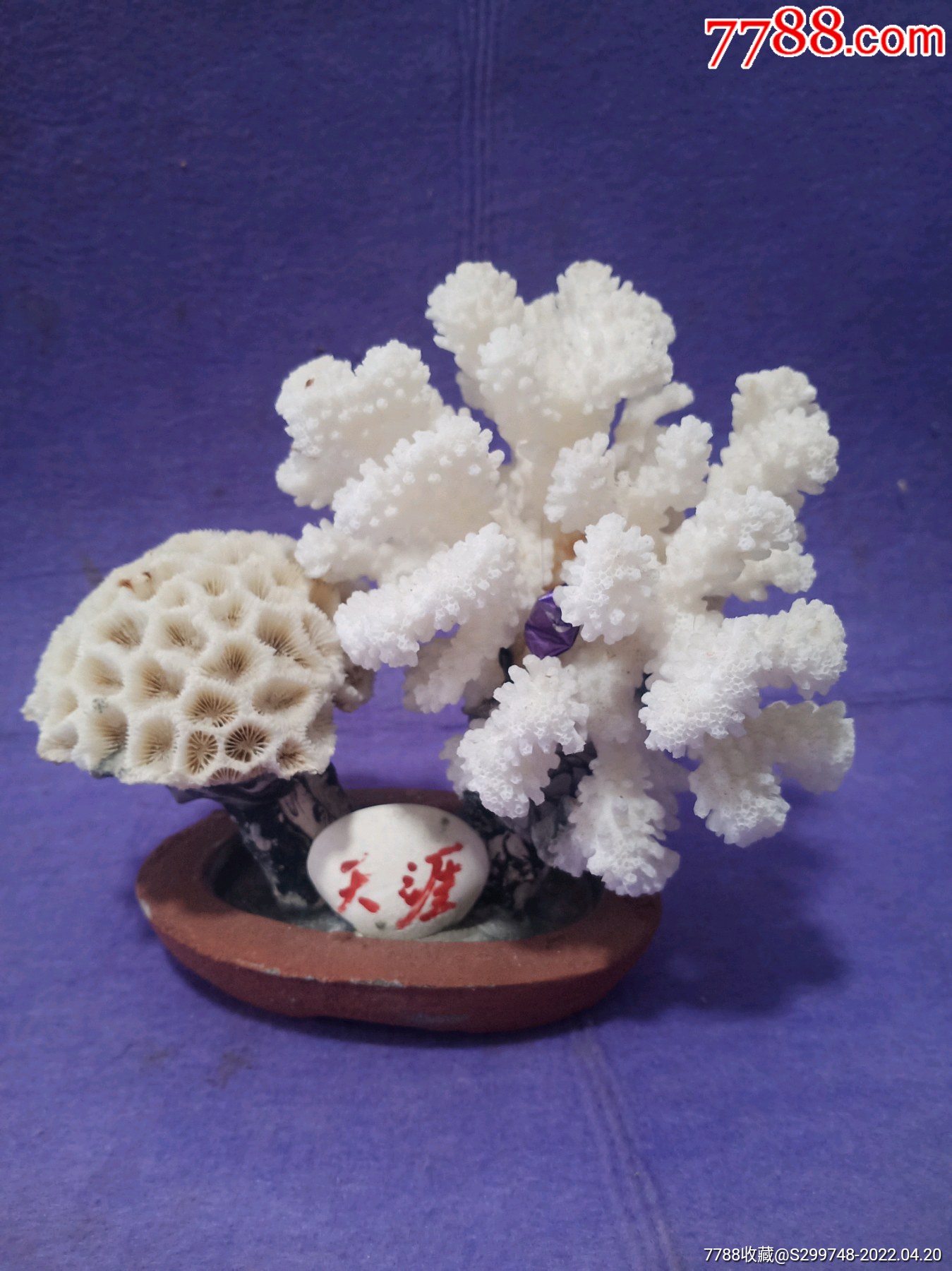 老白色珊瑚工艺品