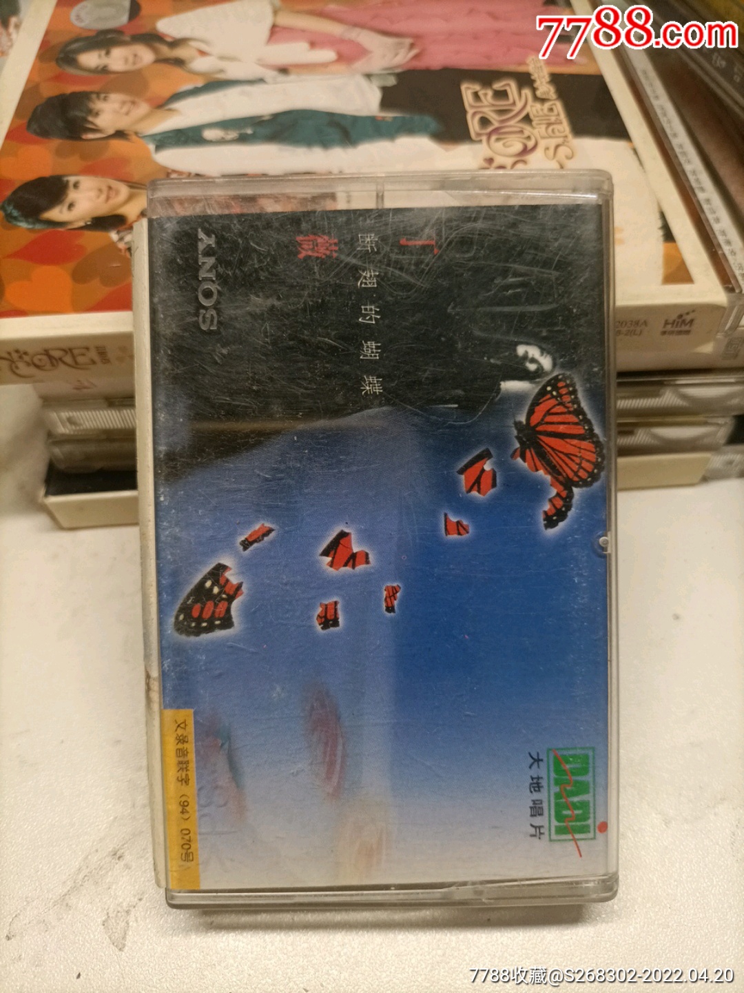 丁薇断翅的蝴蝶
