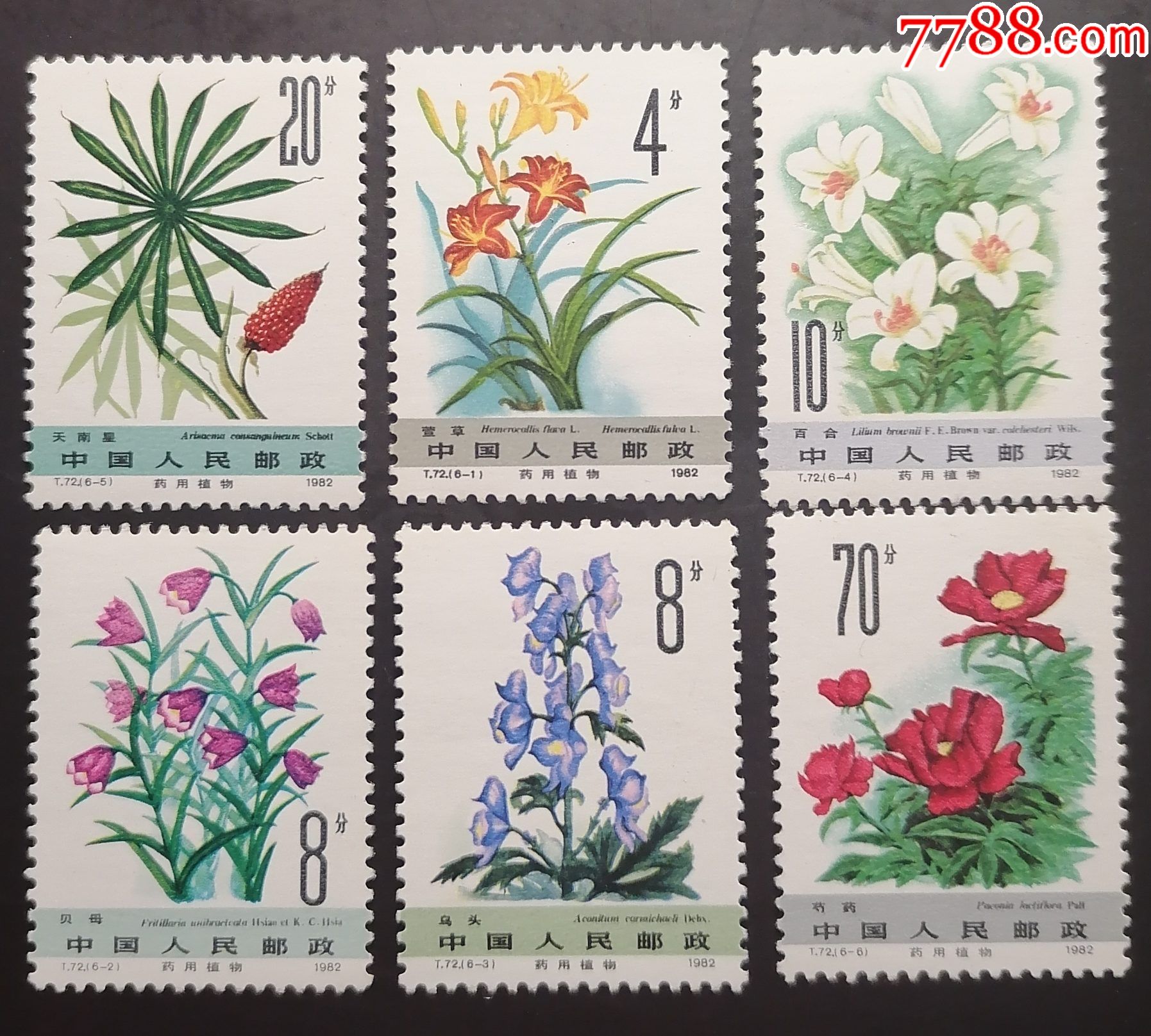 t72药用植物邮票原胶全品