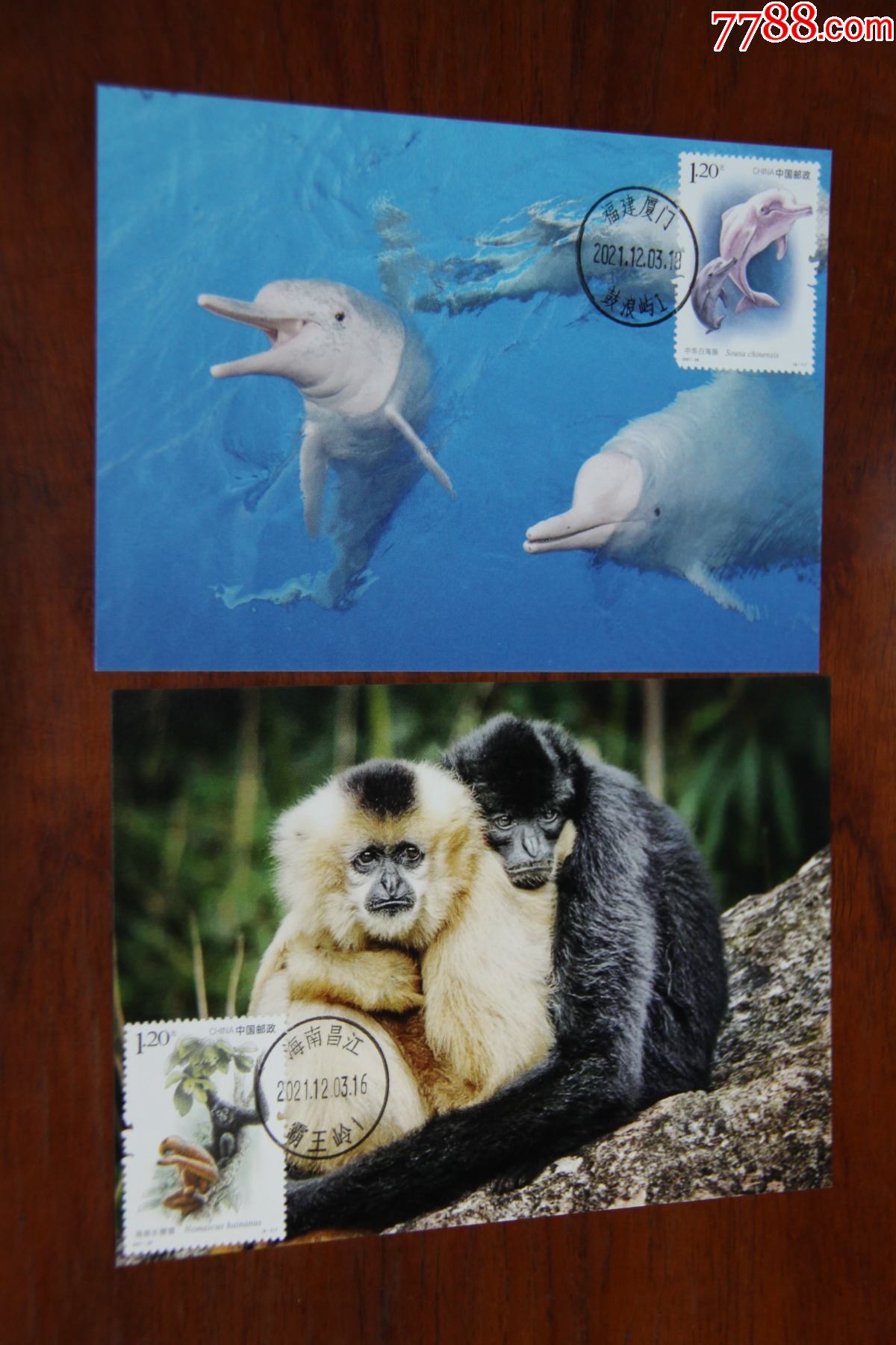 珍稀野生保护动物极限明信片