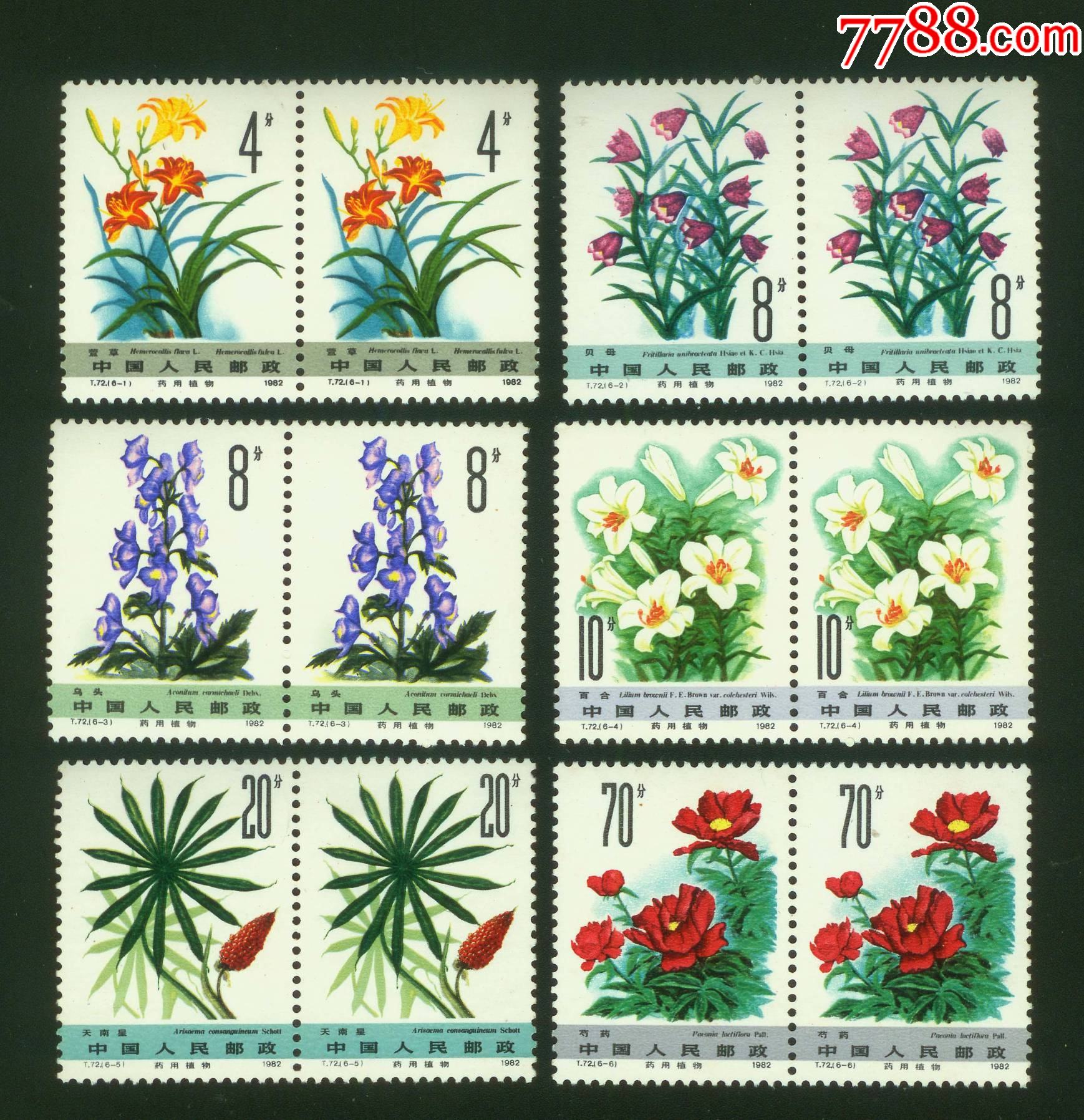 邮票                                    "商品>>>>￥69品99t141