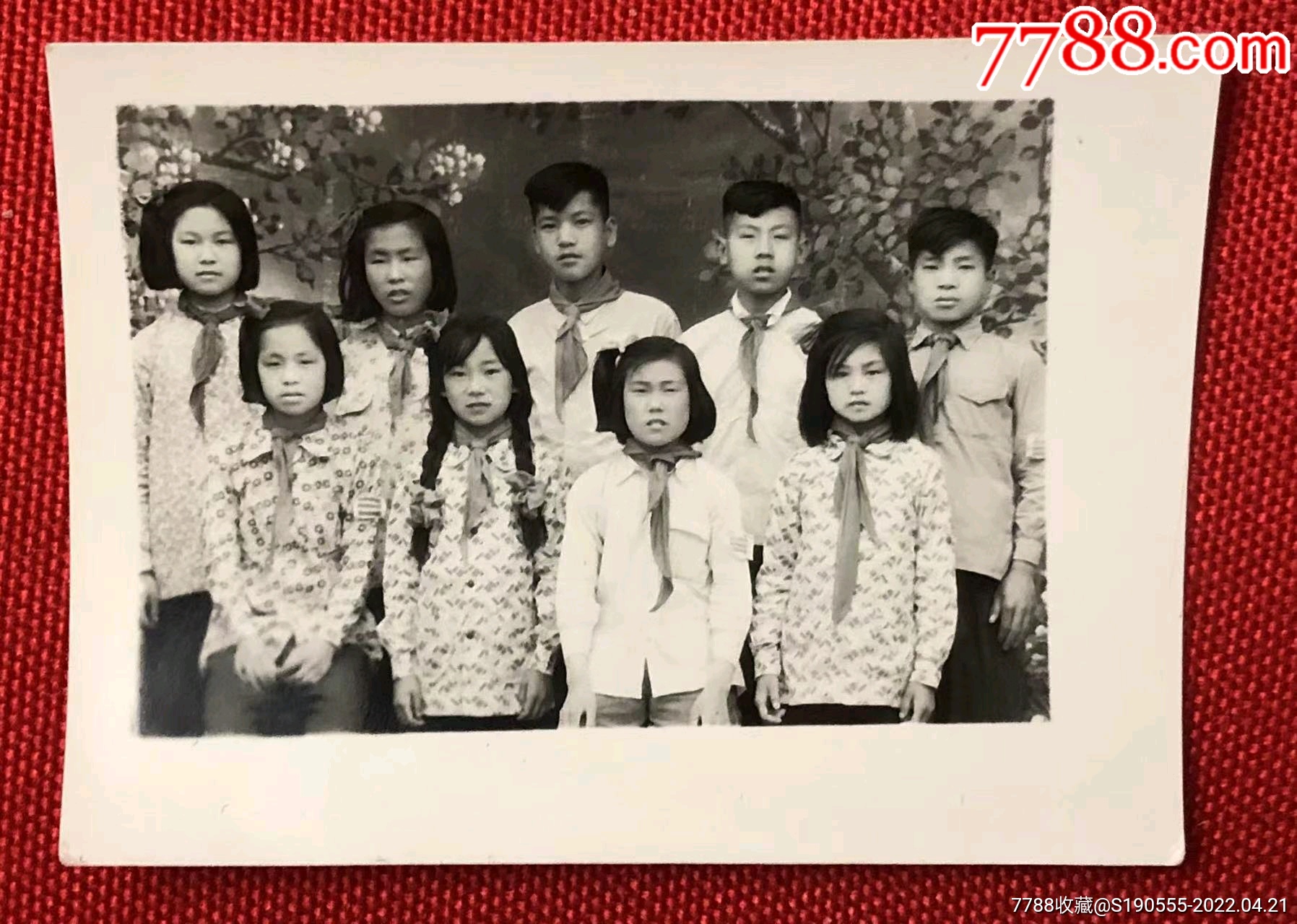 60年代系红领巾的少先队员小学生合影老照片
