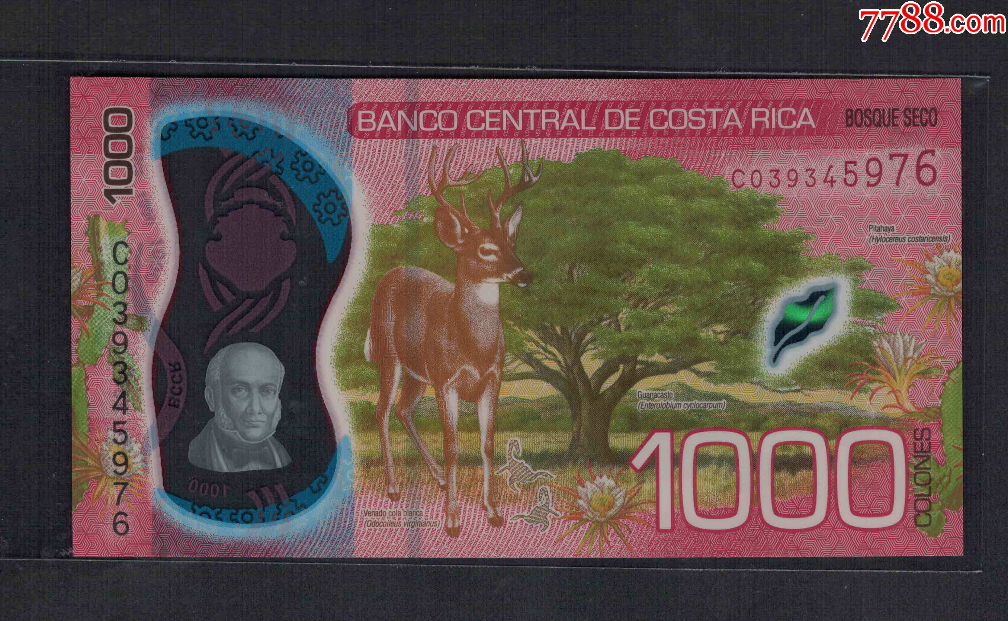 全新20212019年哥斯达黎加1000科朗塑料钞c系列首版实图