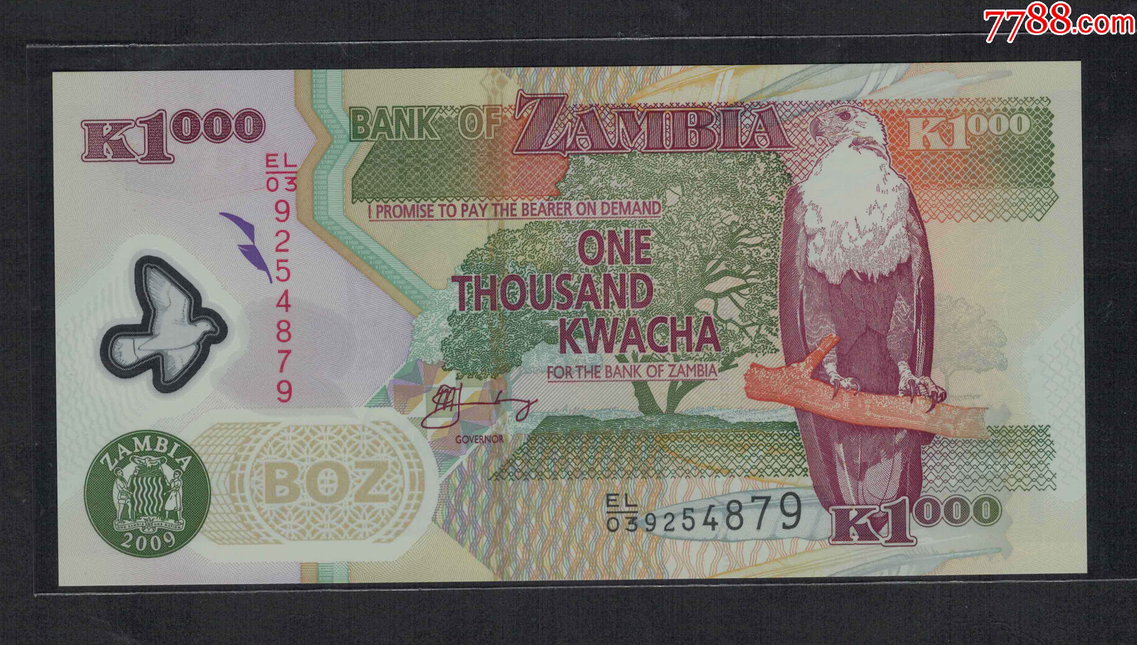 赞比亚2009年1000克瓦查160塑料钞160首冠el03实物图unc