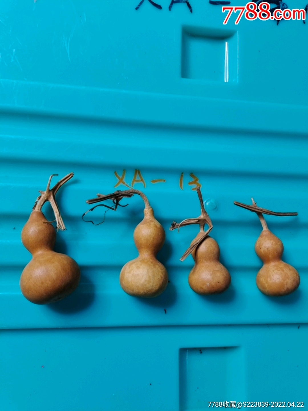 纯天然小葫芦4个原生态