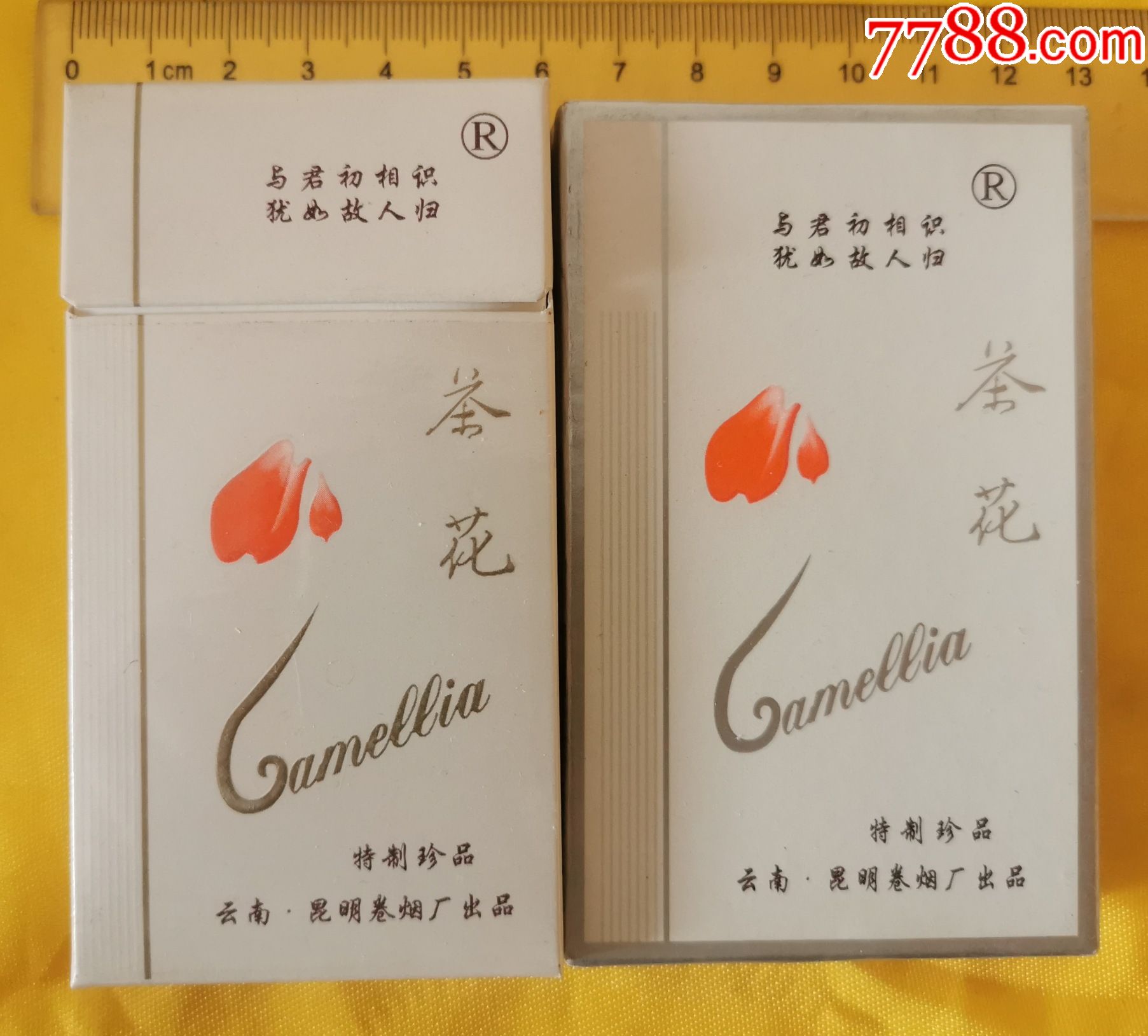 茶花焦15一对不同一枚上翻盖