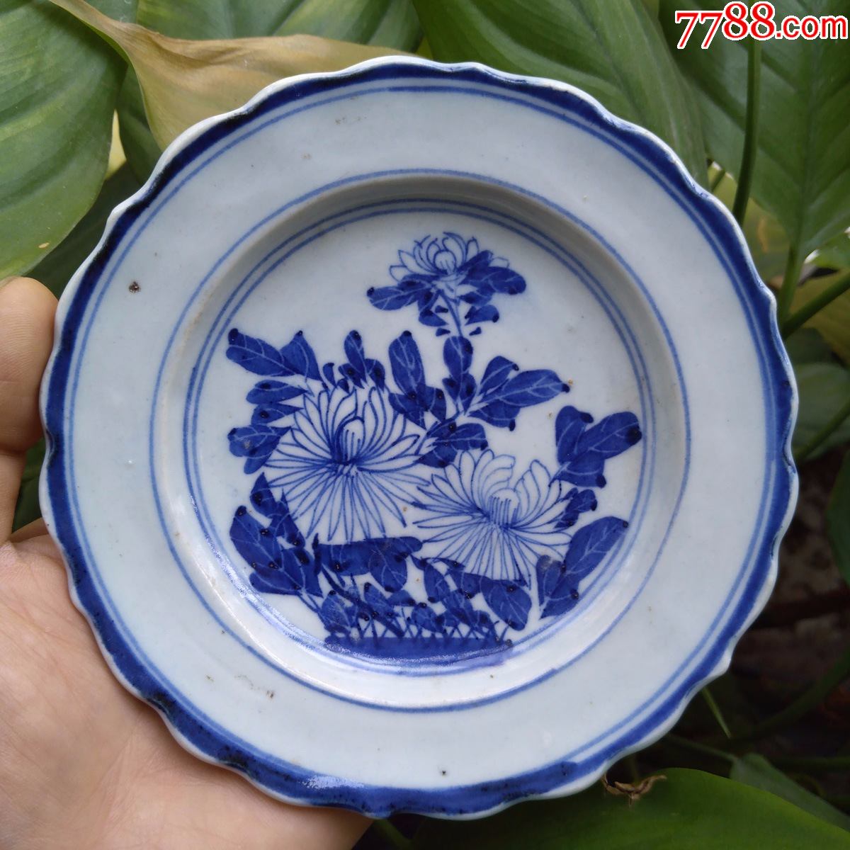 真品古董古瓷器大本堂晚清民初精品青花菊花盘古代文房笔添包老