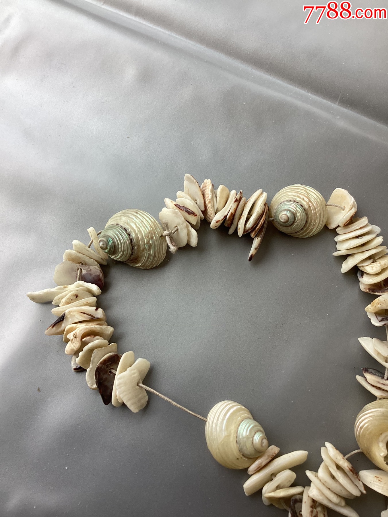 出土贝壳手链一组_贝壳饰品_第2张_7788画册网
