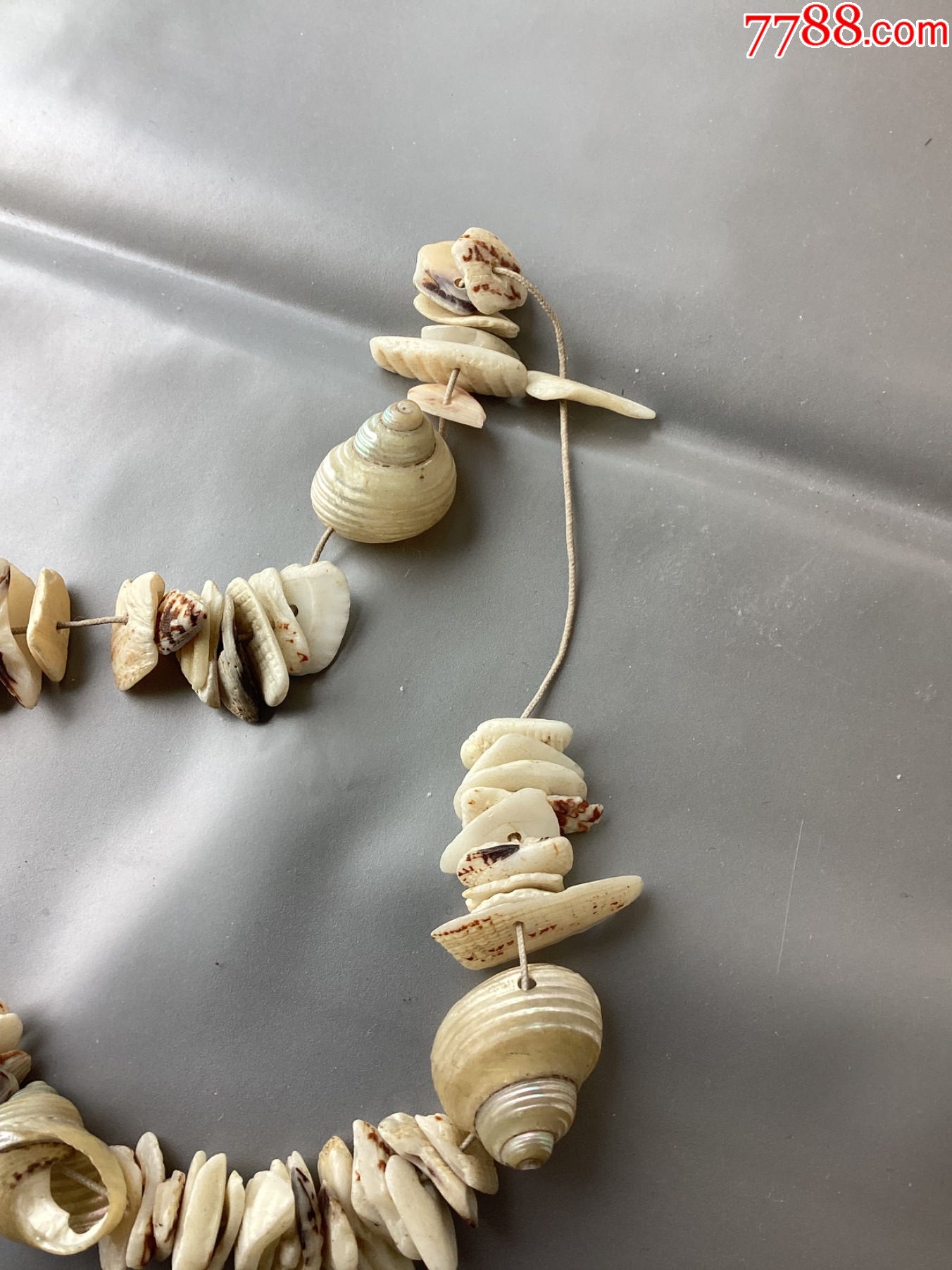 出土贝壳手链一组_贝壳饰品_第7张_7788画册网