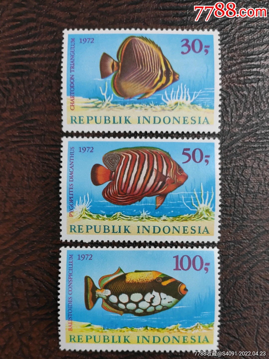 印尼1972年海洋鱼类3全新_亚洲邮票_大吉大利挖宝公司【7788收藏