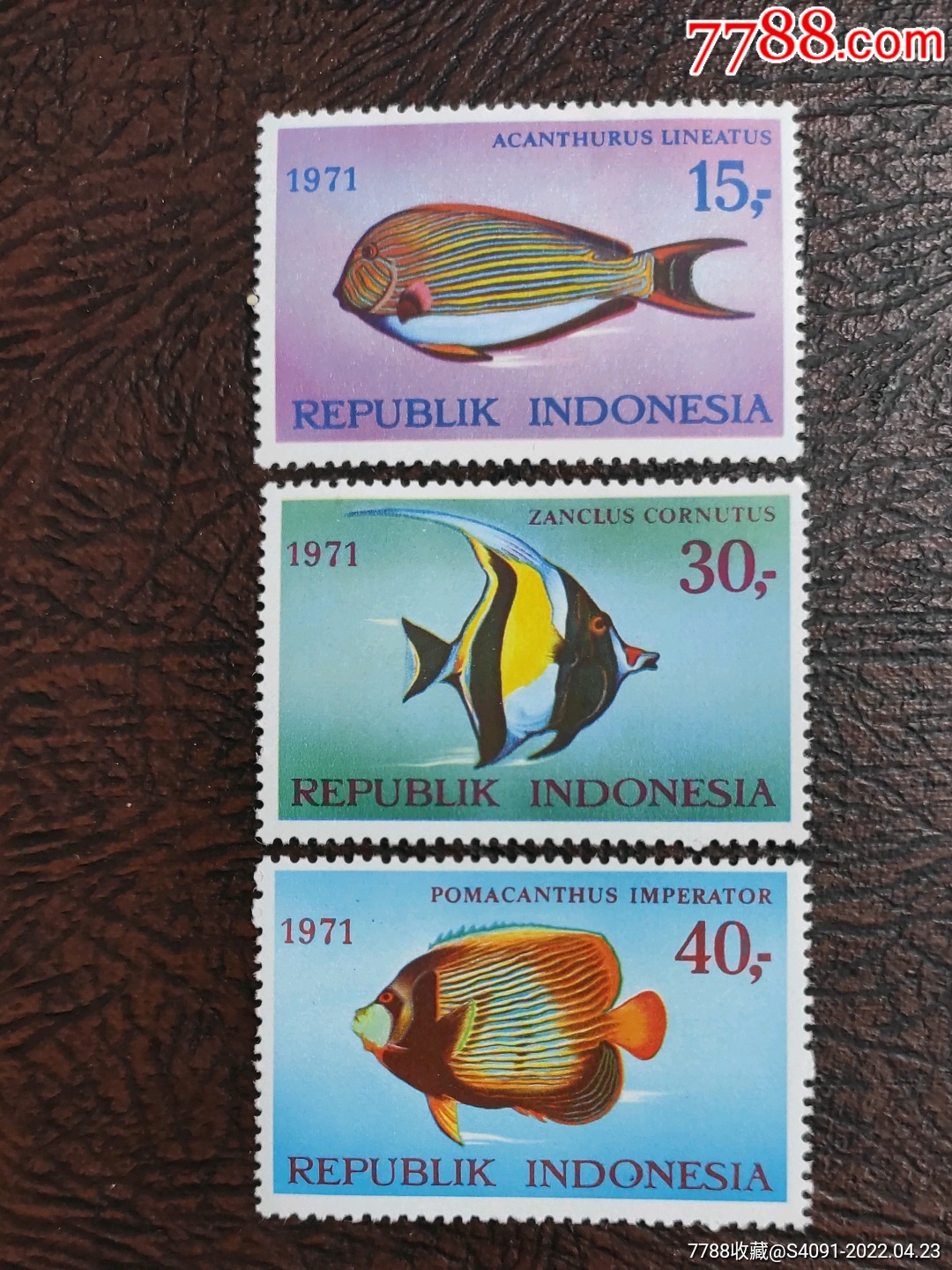 印尼1971年海洋鱼类3全新_亚洲邮票_大吉大利挖宝公司【7788收藏