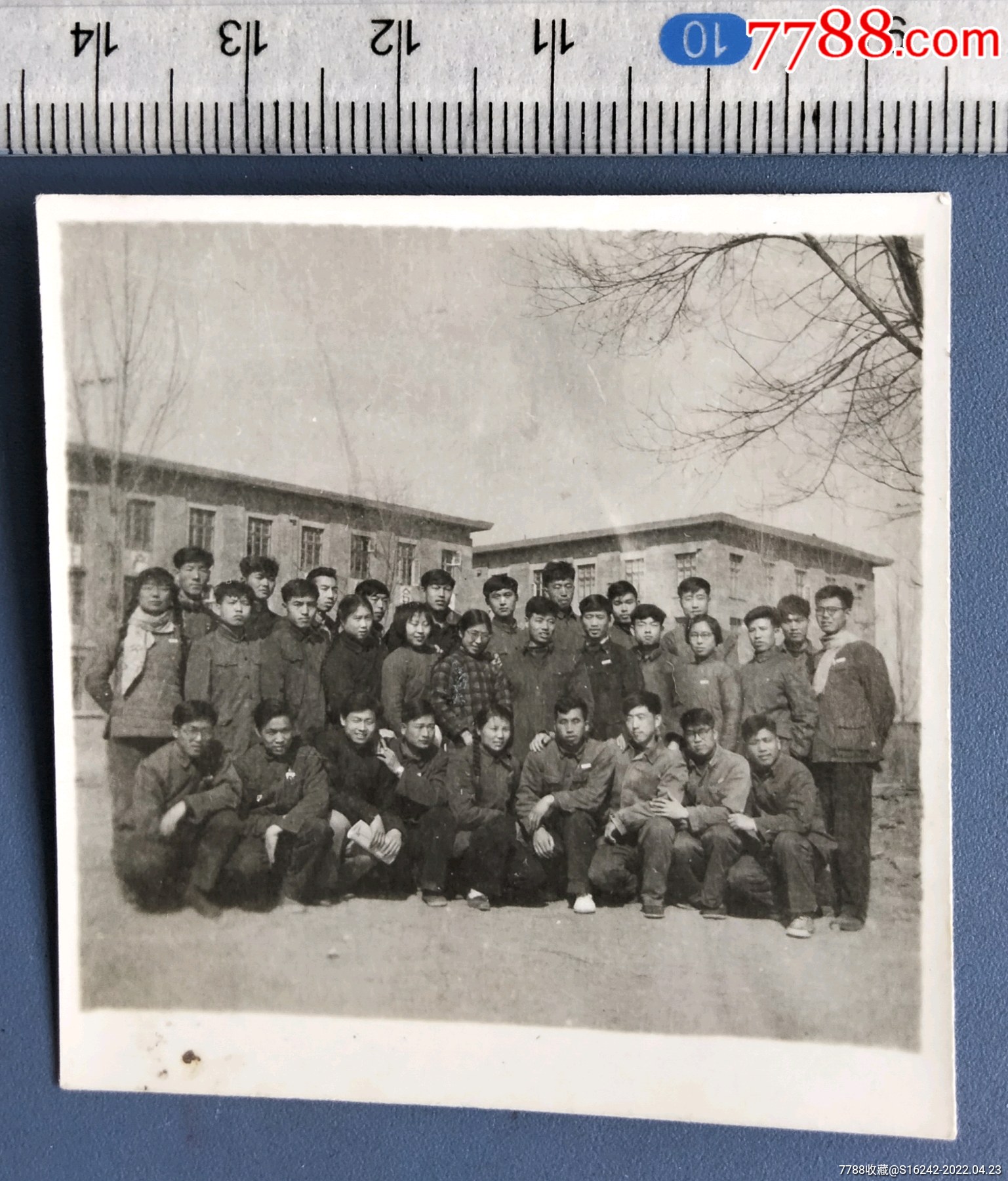 六十年代大学生合影