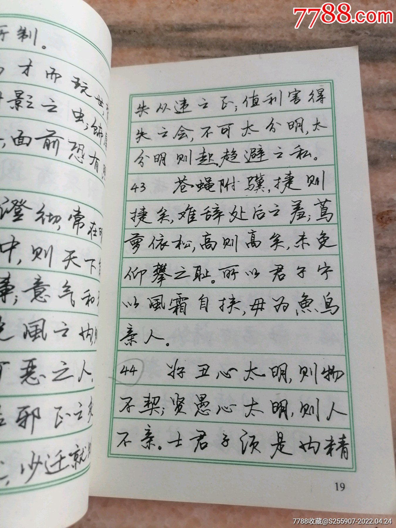 菜根谭钢笔行书字帖