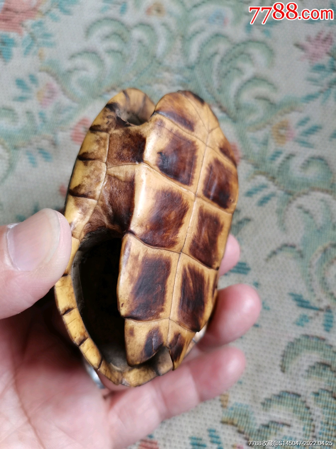 民国老龟壳富甲一方