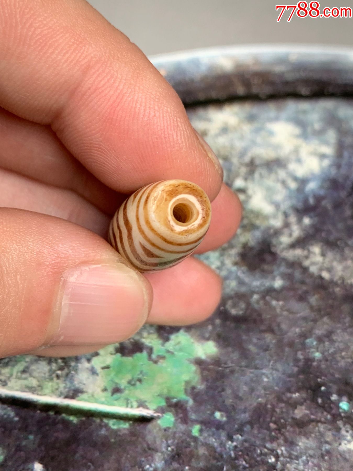 千年邦提克珠木化石藏传天珠精品古珠一代地珠