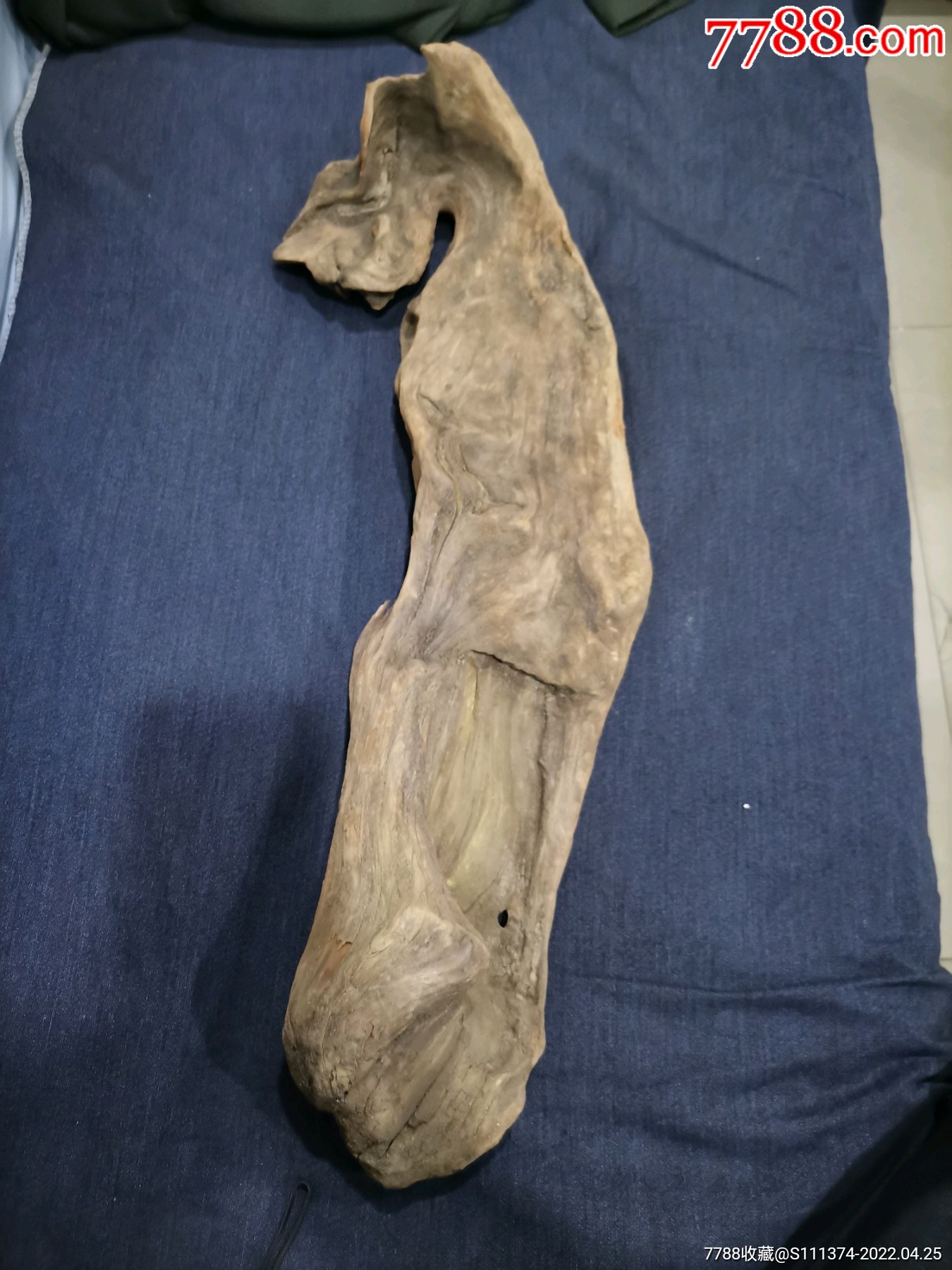 出水原木朽木摆件