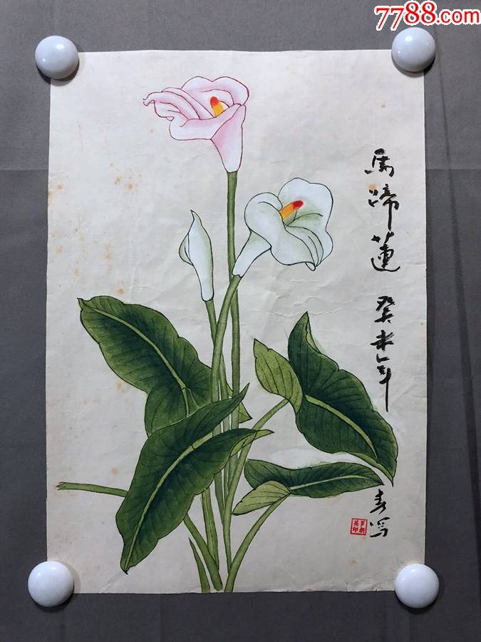 马蹄莲,托片,尺寸约为36*25厘米-花鸟国画原作-7788商城__七七八八