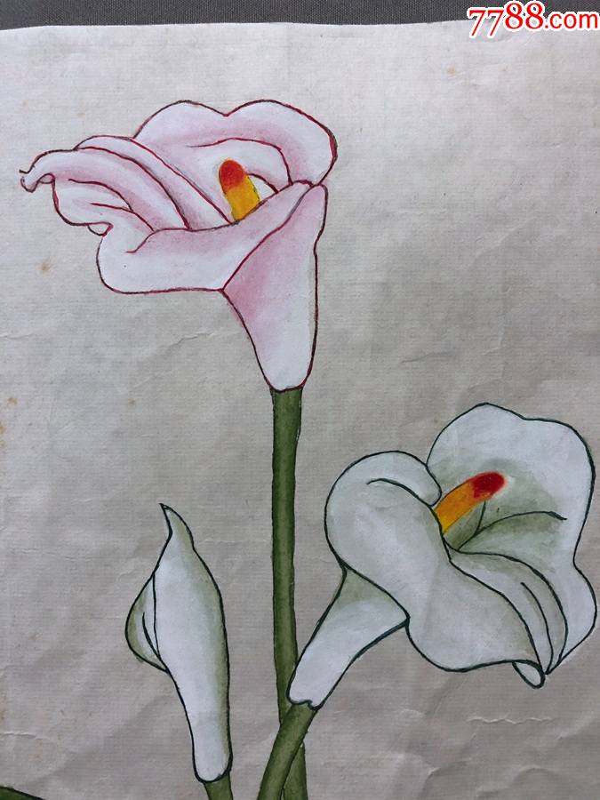 17724罗朝英工笔重彩花鸟画马蹄莲托片尺寸约为3625厘米