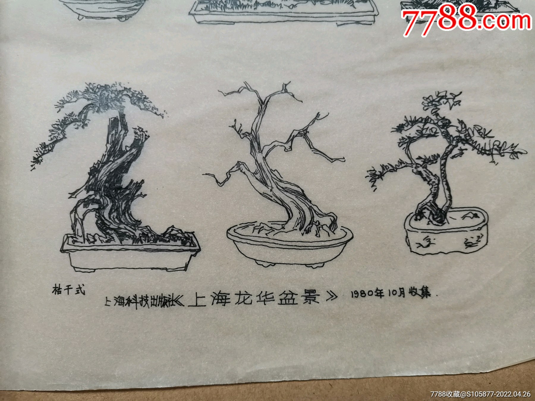 临摹《上海龙华盆景》的图案_素描/速写_第2张_7788陶器收藏